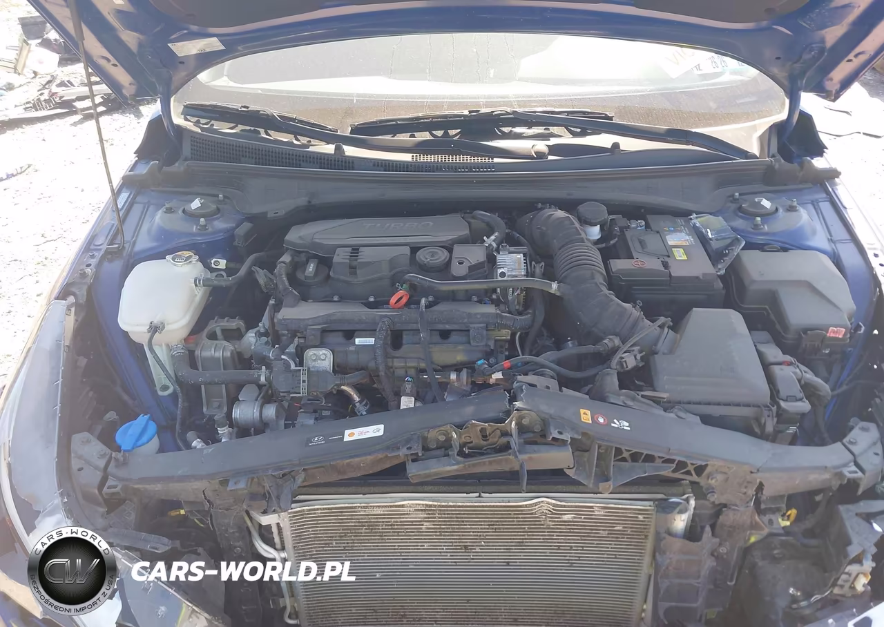 2023 Hyundai Elantra N Line VIN:KMHLR4AF0PU489611 - 10