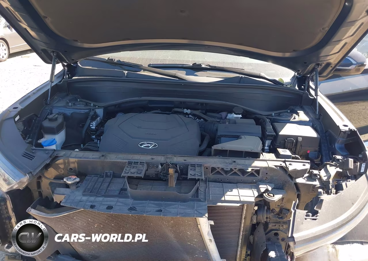 2020 Hyundai Palisade Sel VIN:KM8R44HE6LU065415 - 10