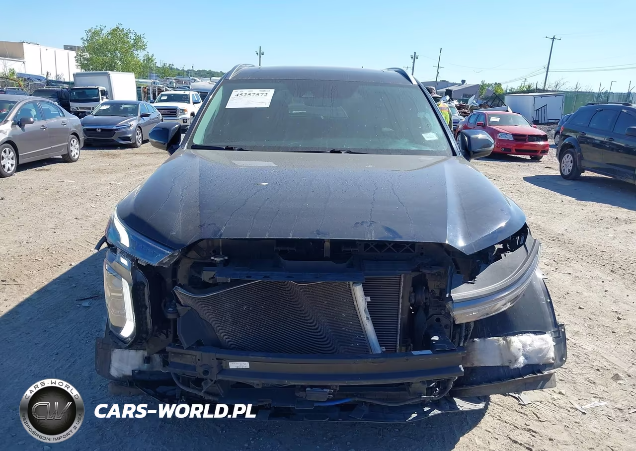 2020 Hyundai Palisade Sel VIN:KM8R44HE6LU065415 - 13