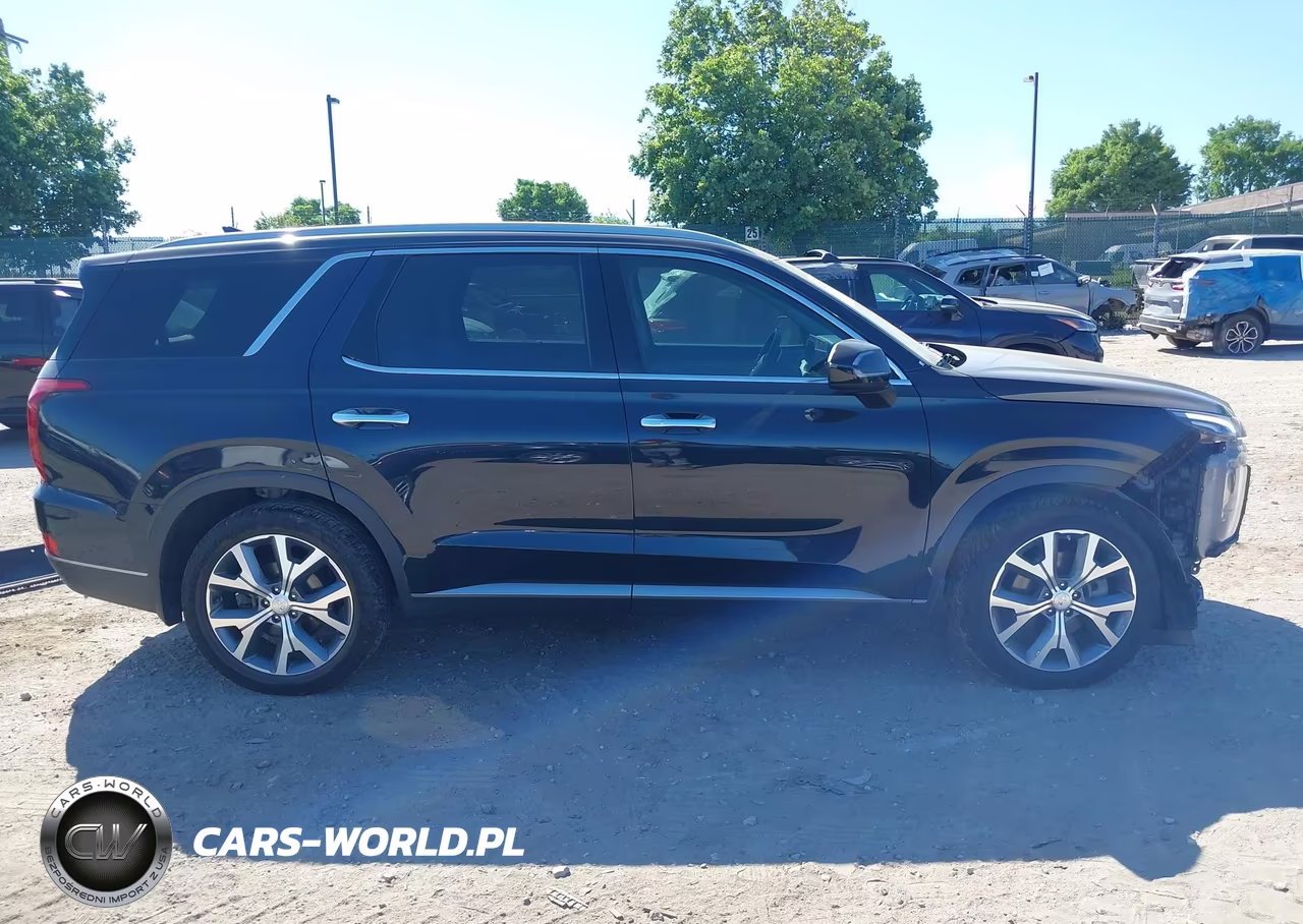 2020 Hyundai Palisade Sel VIN:KM8R44HE6LU065415 - 14
