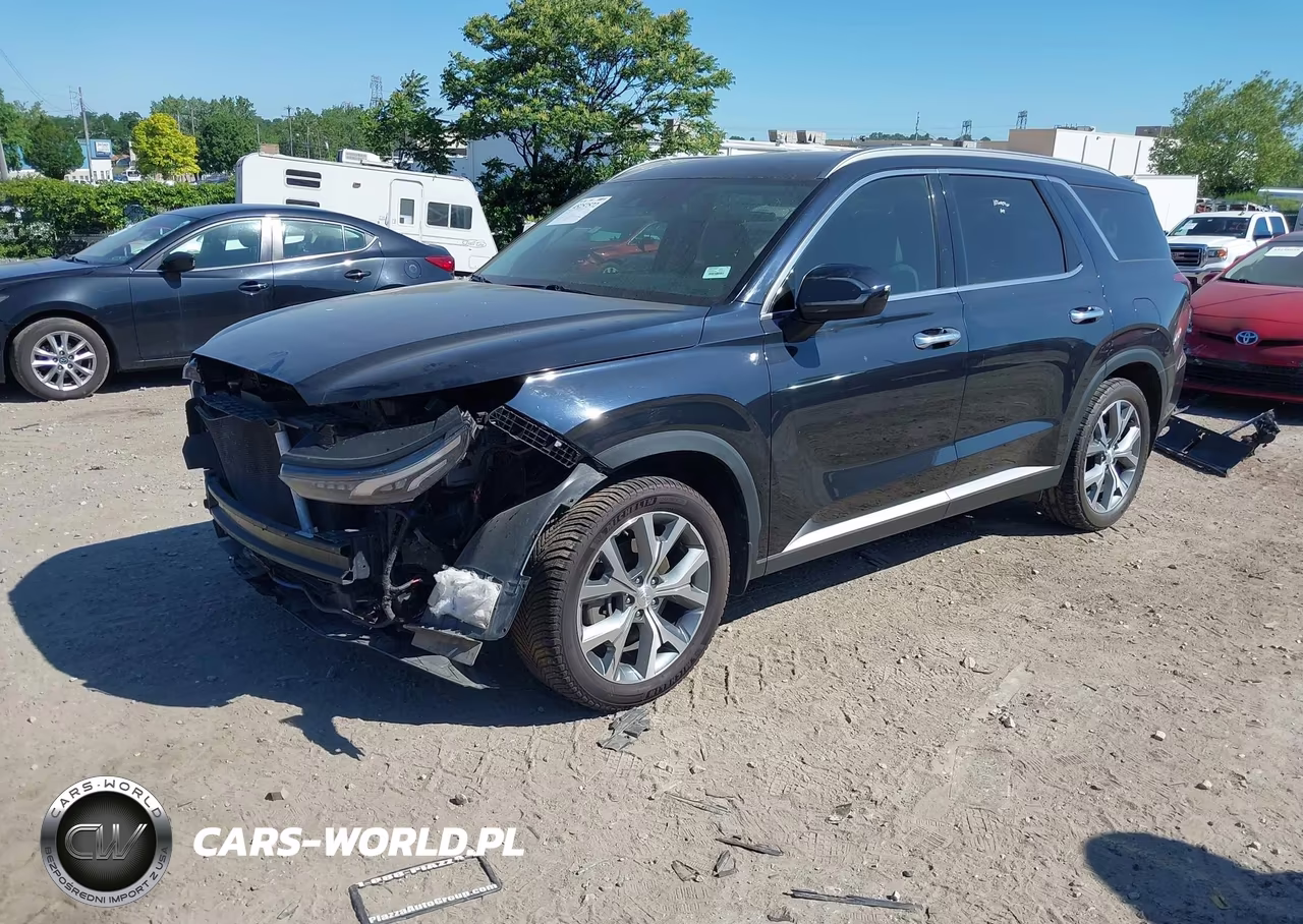 2020 Hyundai Palisade Sel VIN:KM8R44HE6LU065415 - 2
