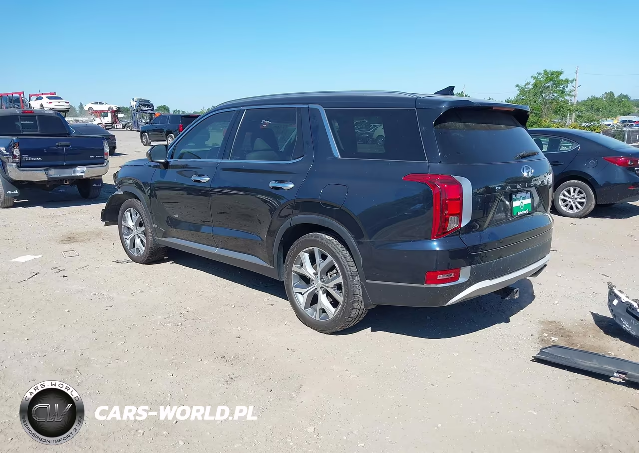 2020 Hyundai Palisade Sel VIN:KM8R44HE6LU065415 - 3