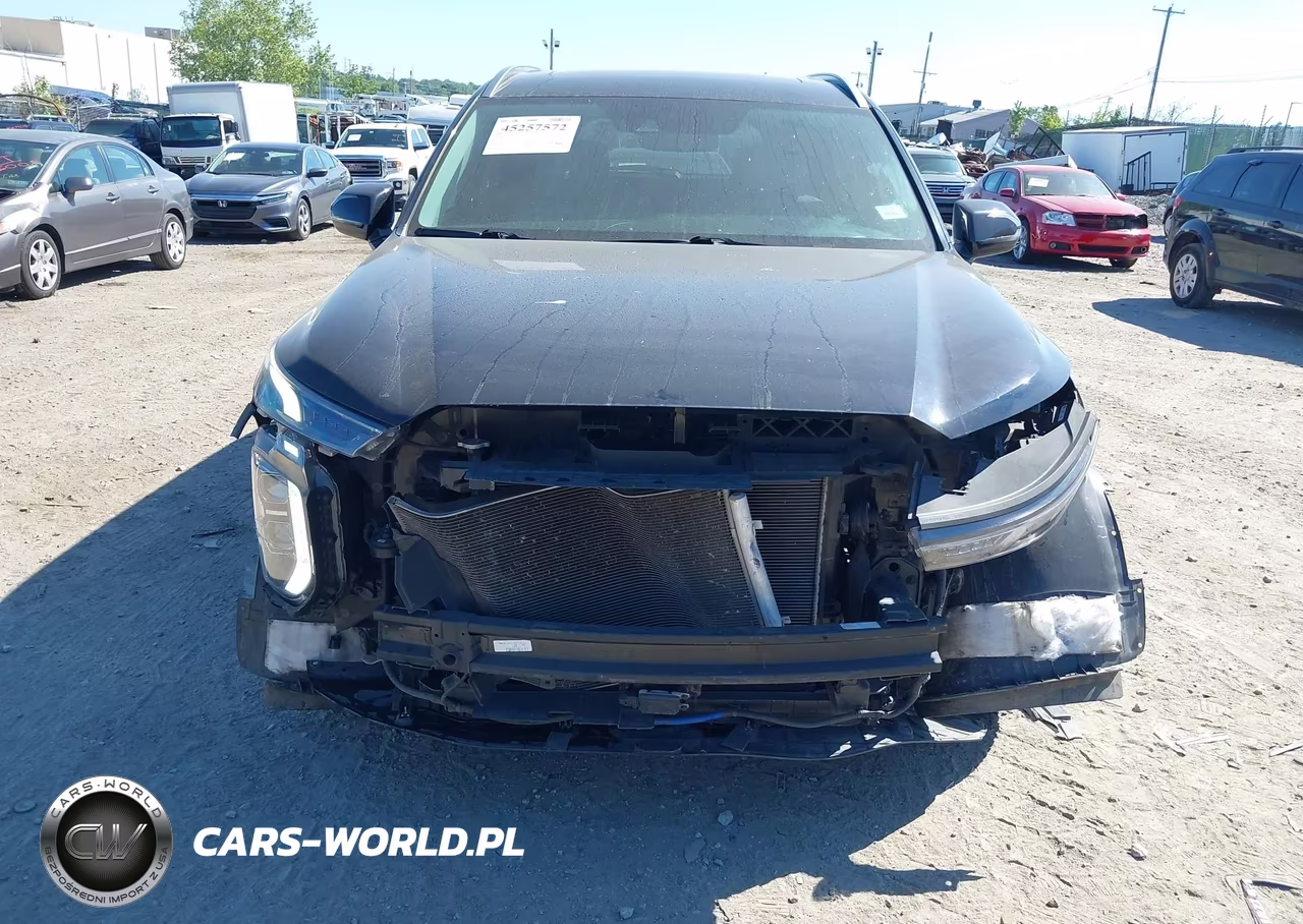 2020 Hyundai Palisade Sel VIN:KM8R44HE6LU065415 - 6