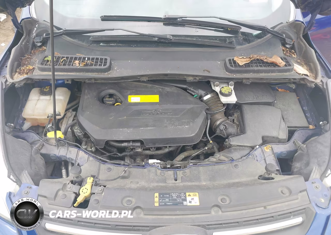 2015 Ford Escape Se VIN:1FMCU0GX9FUC85122 - 10