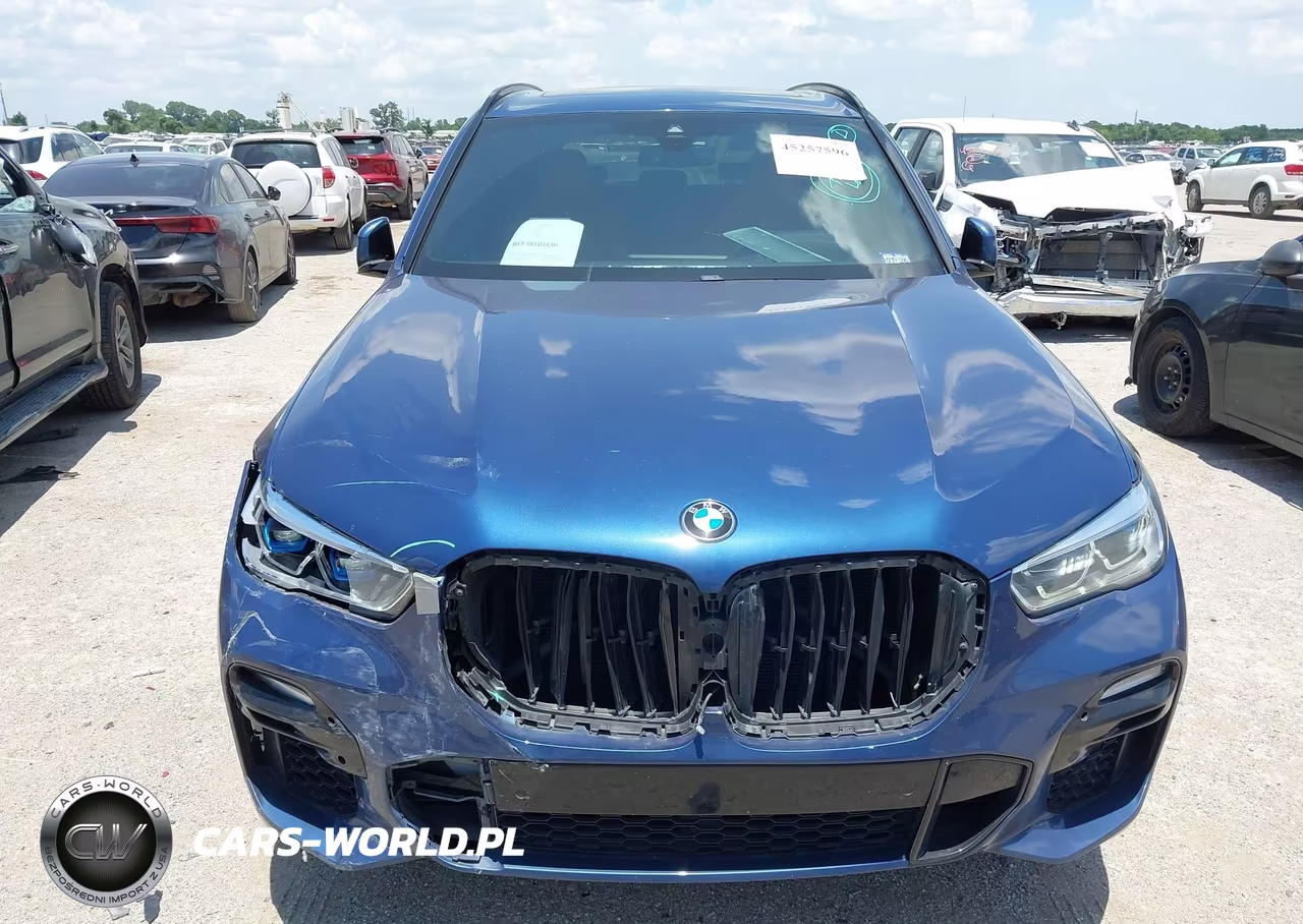 2021 BMW X5 Sdrive40I VIN:5UXCR4C01M9H63301 - 12