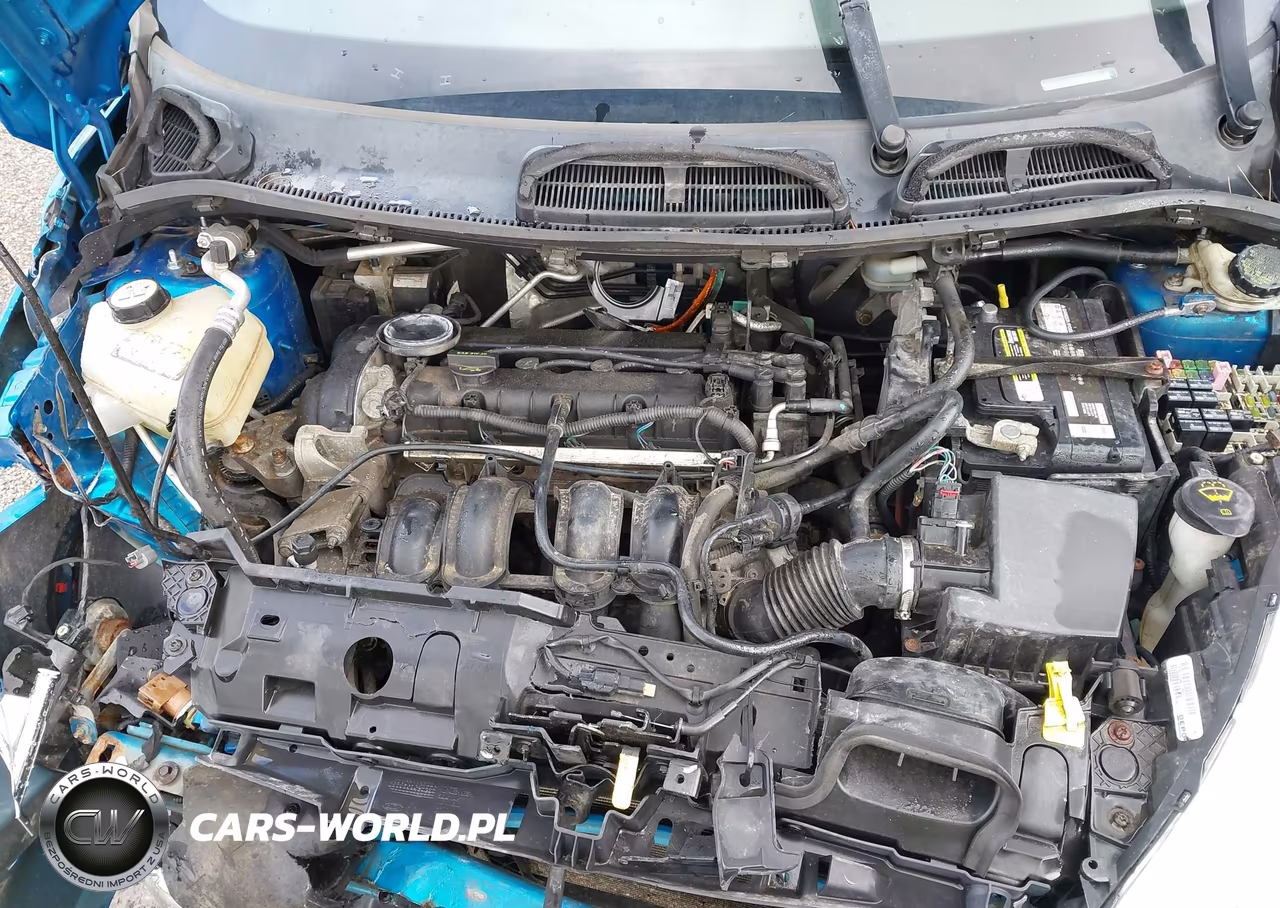 2012 Ford Fiesta Se VIN:3FADP4BJ1CM172992 - 10