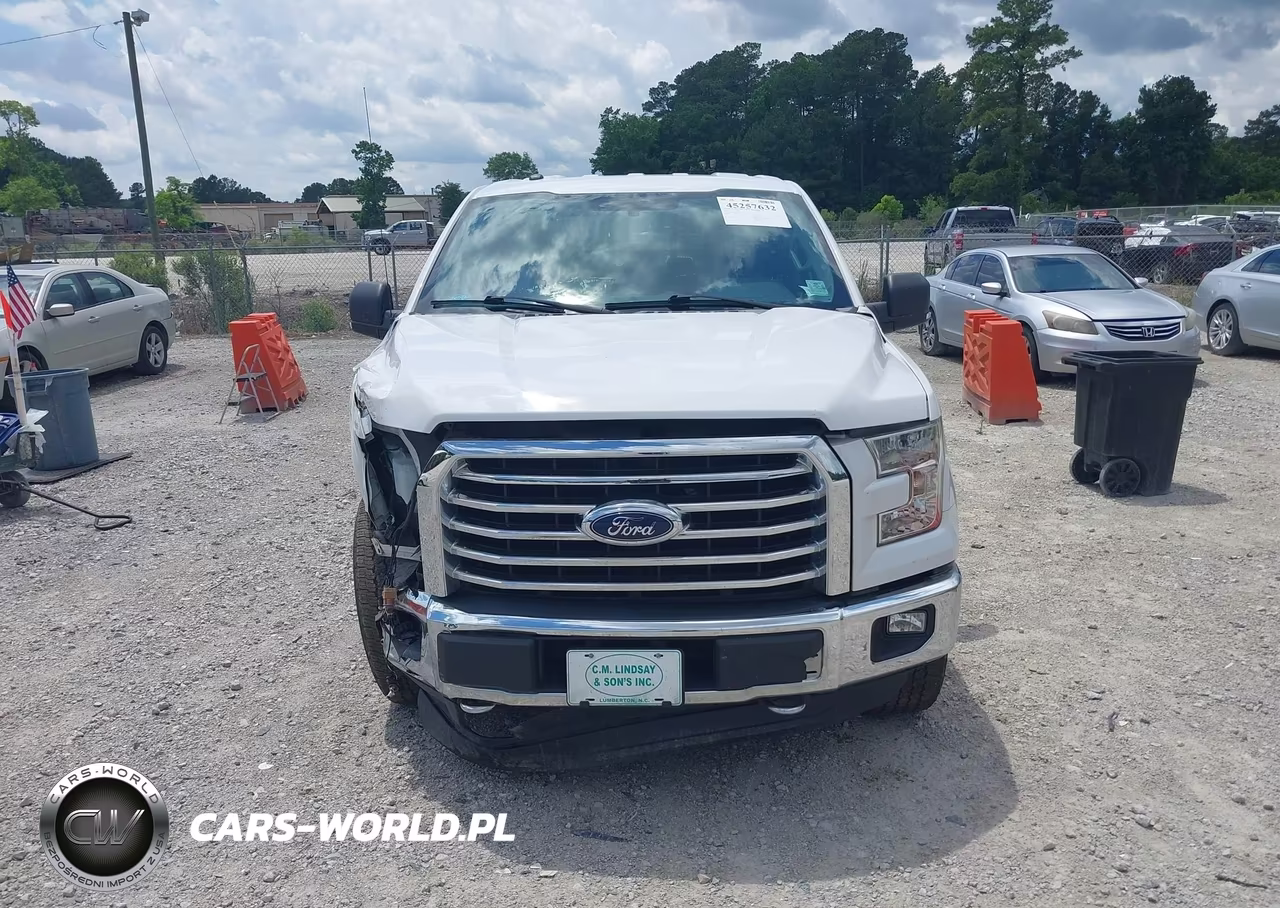 2016 Ford F-150 Xlt VIN:1FTEW1EG0GFD11970 - 12