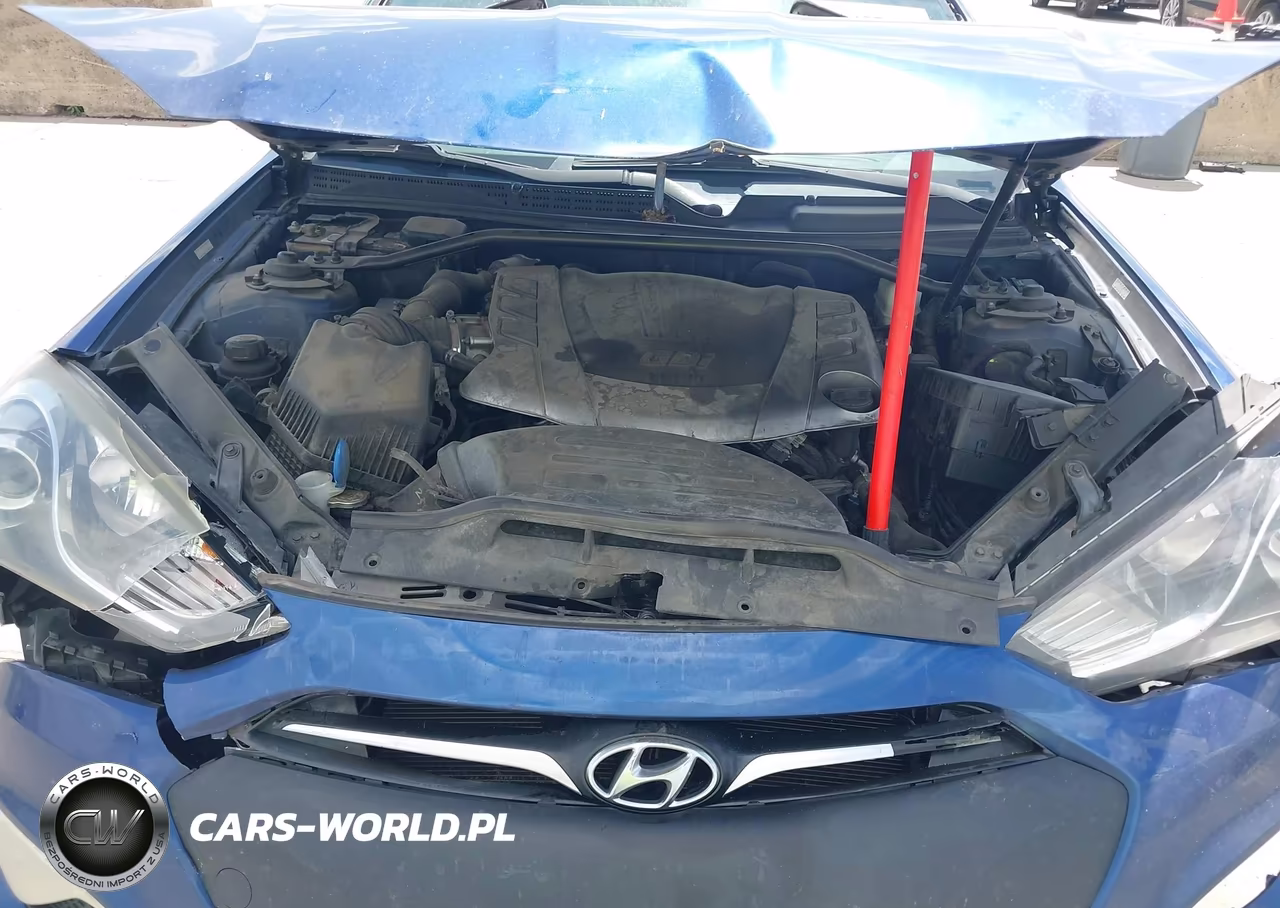 2015 Hyundai Genesis 3.8 R-Spec VIN:KMHHU6KJ1FU127675 - 10