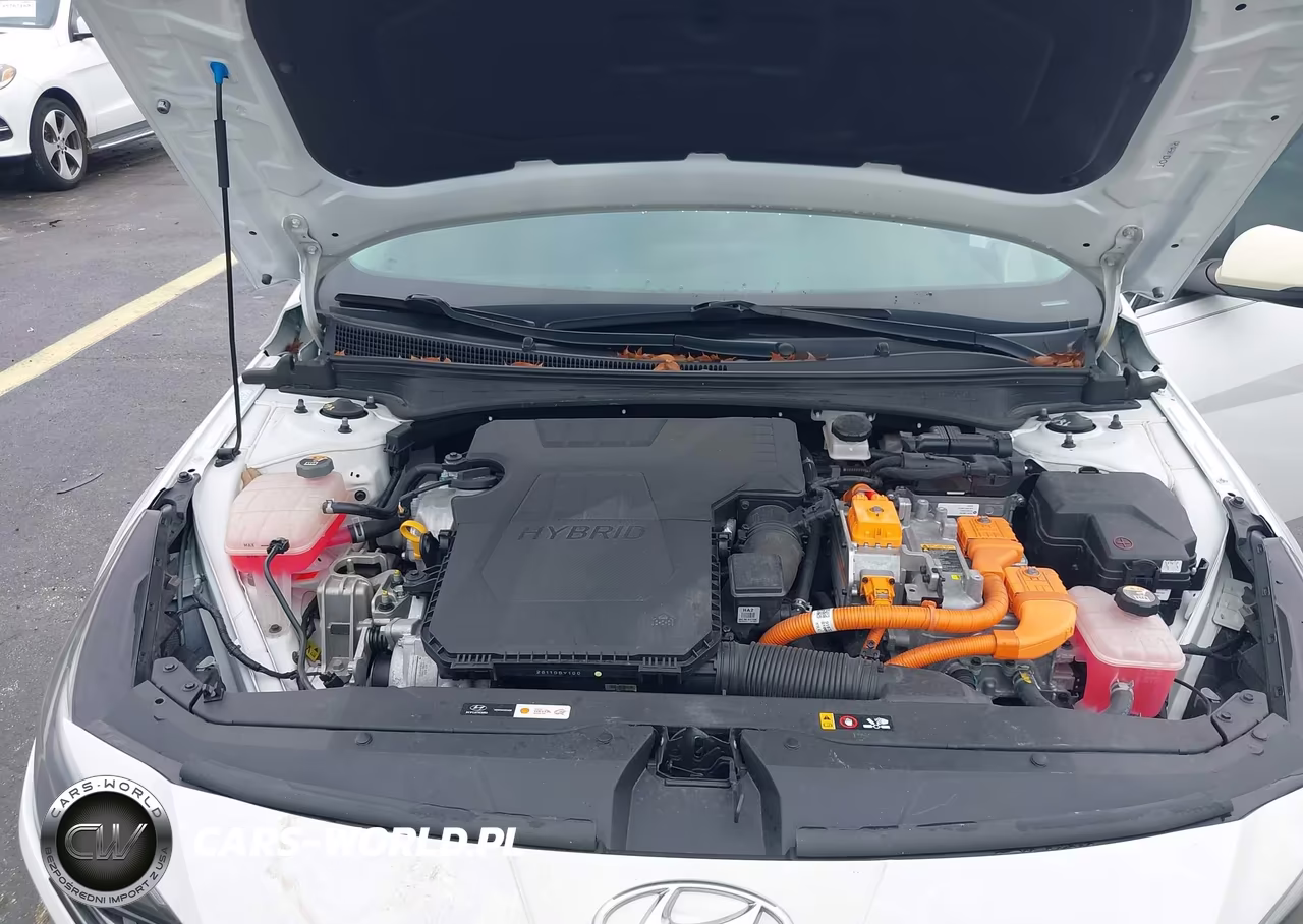 2023 Hyundai Elantra Hybrid Limited VIN:KMHLN4AJ9PU066462 - 10