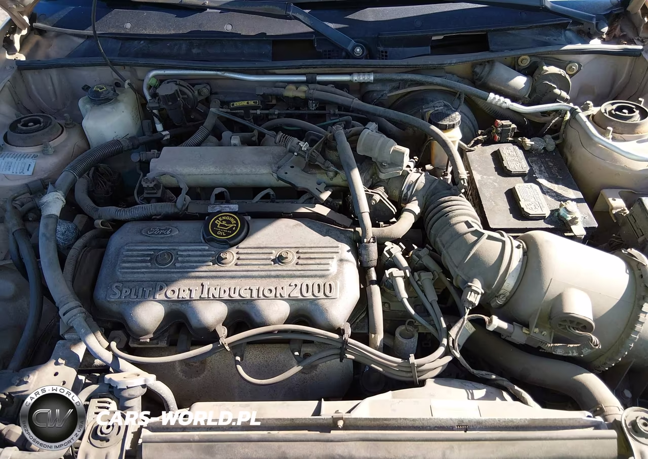 1998 Ford Escort Lx VIN:1FAFP10P6WW292192 - 10