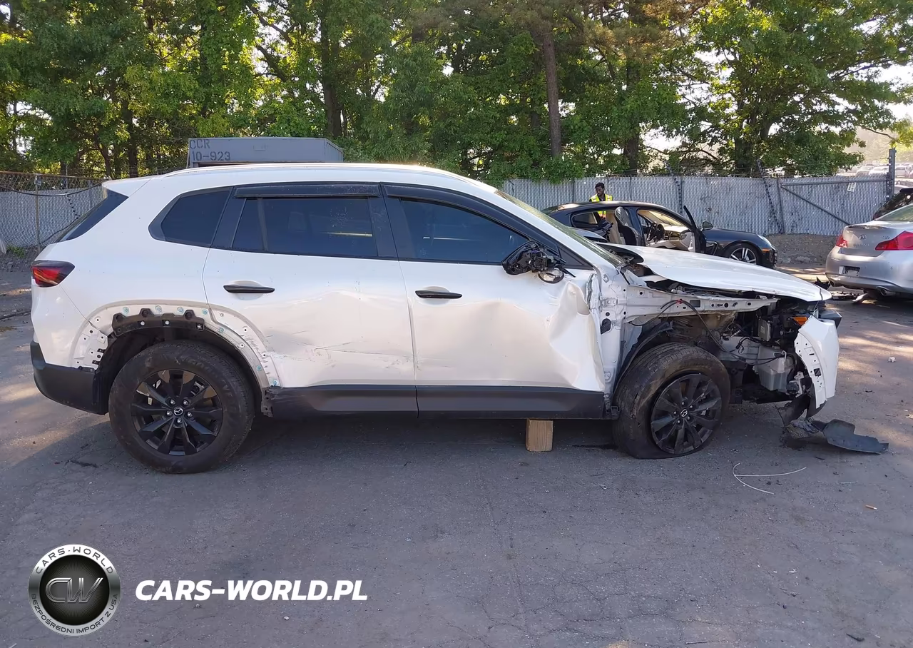 2024 Mazda Cx-50 2.5 S Preferred VIN:7MMVABBM1RN184556 - 13