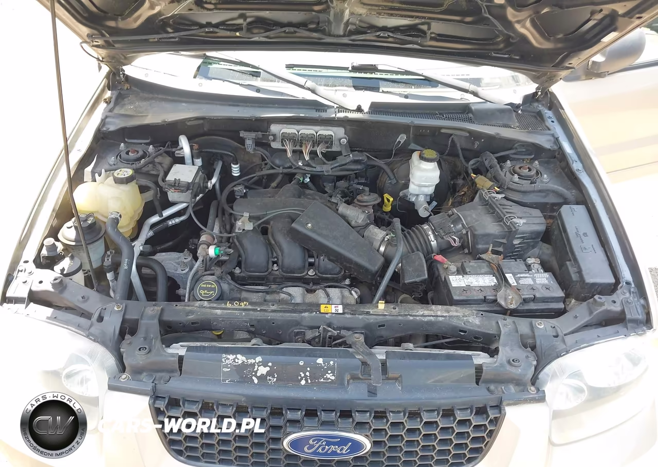 2007 Ford Escape Xlt-Xlt Sport VIN:1FMCU93117KA19385 - 10