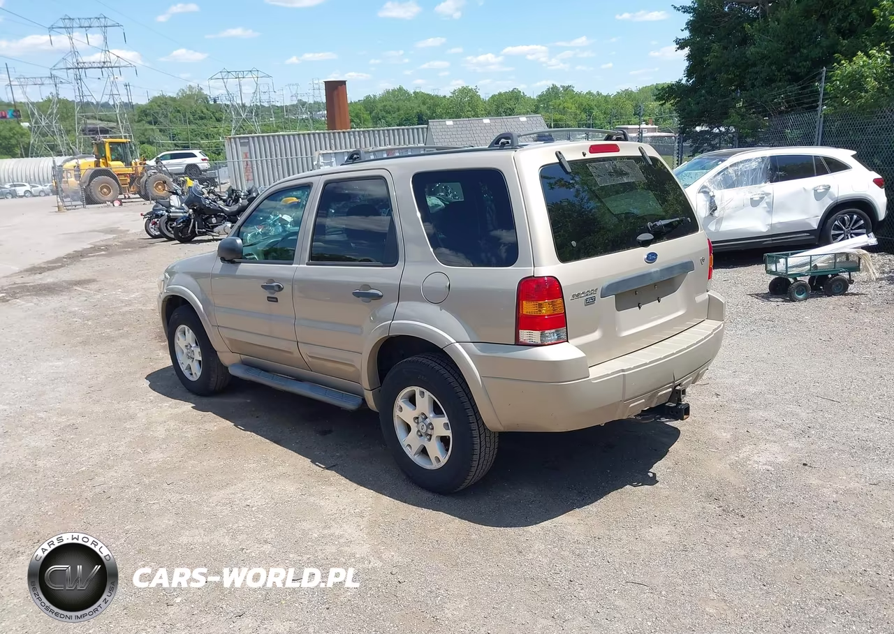 2007 Ford Escape Xlt-Xlt Sport VIN:1FMCU93117KA19385 - 3