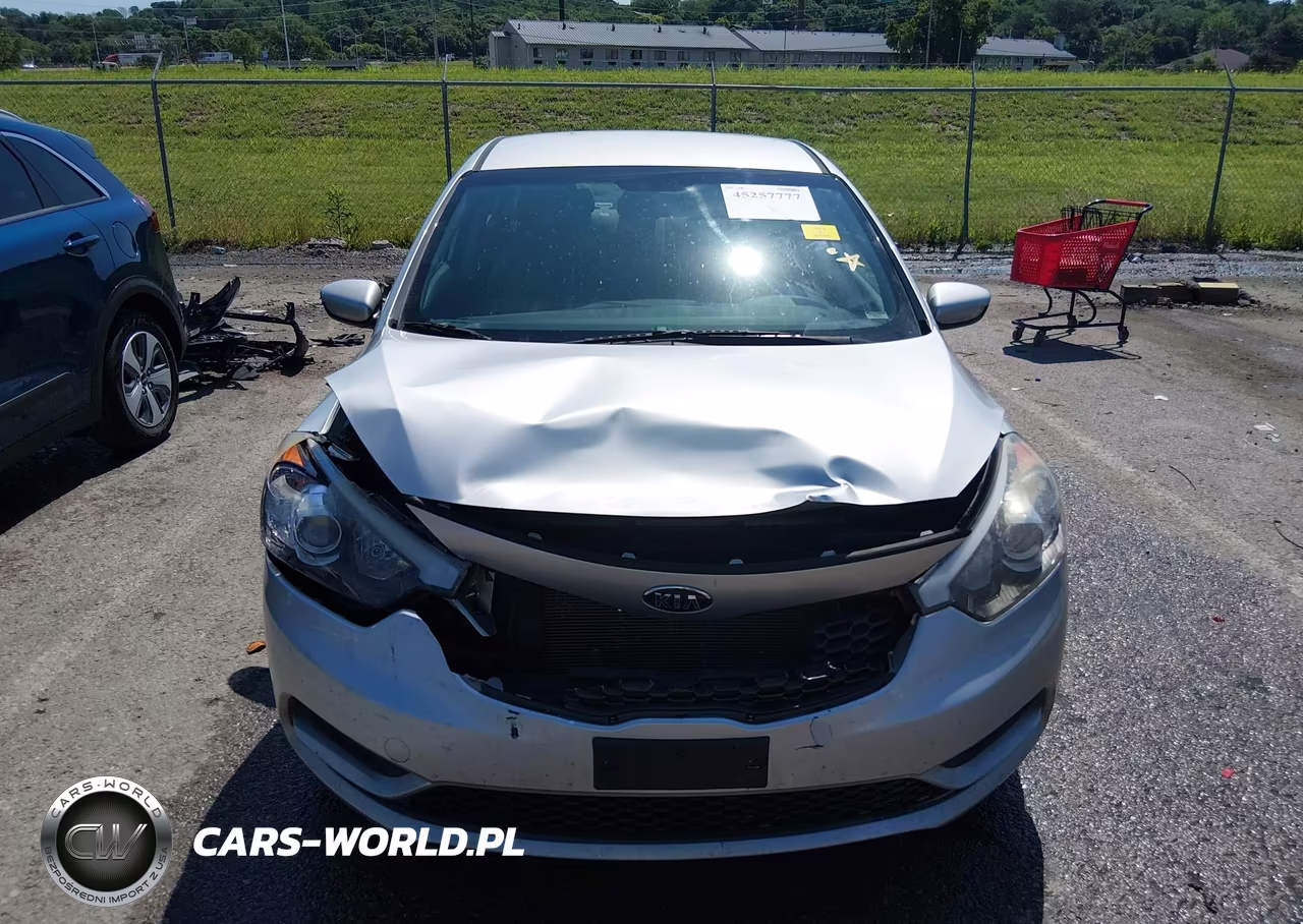 2016 Kia Forte Lx VIN:KNAFK4A68G5523971 - 12
