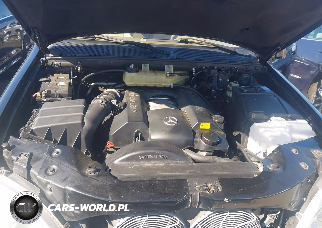 2002 Mercedes-Benz Ml 320 VIN:4JGAB54E22A316414 - 10