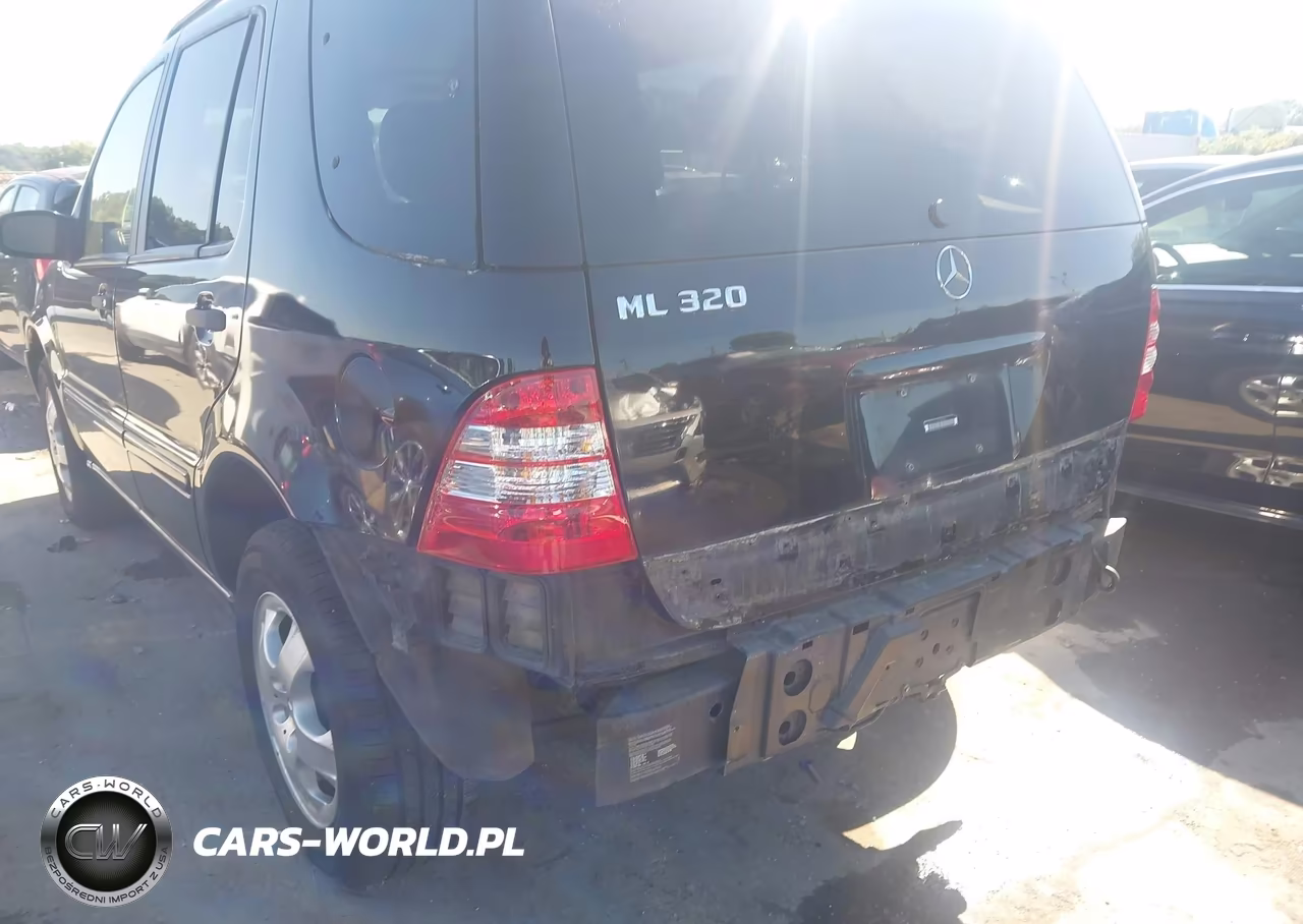 2002 Mercedes-Benz Ml 320 VIN:4JGAB54E22A316414 - 18