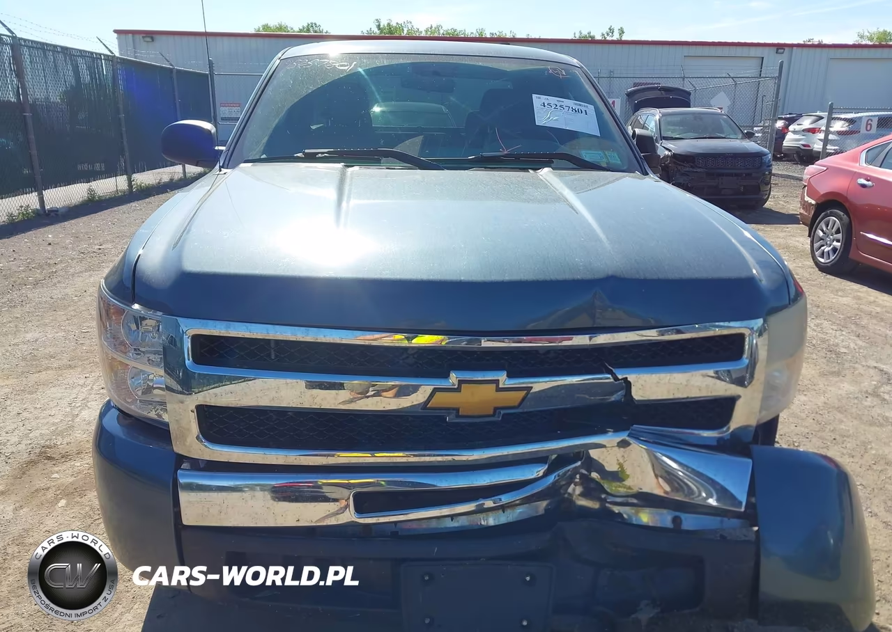 2010 Chevrolet Silverado 1500 Work Truck VIN:1GCSCPEX9AZ147364 - 12