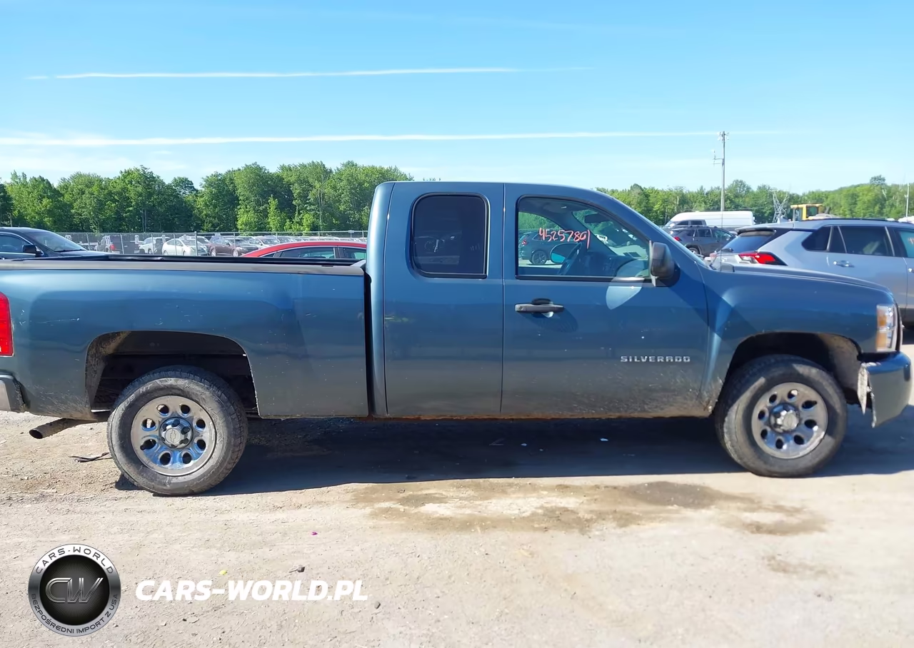 2010 Chevrolet Silverado 1500 Work Truck VIN:1GCSCPEX9AZ147364 - 13