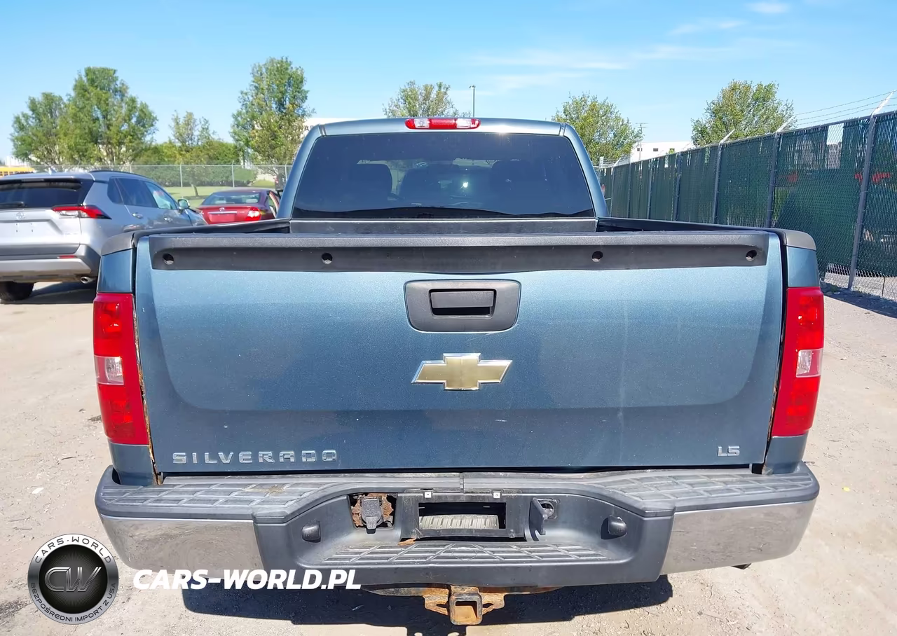 2010 Chevrolet Silverado 1500 Work Truck VIN:1GCSCPEX9AZ147364 - 16