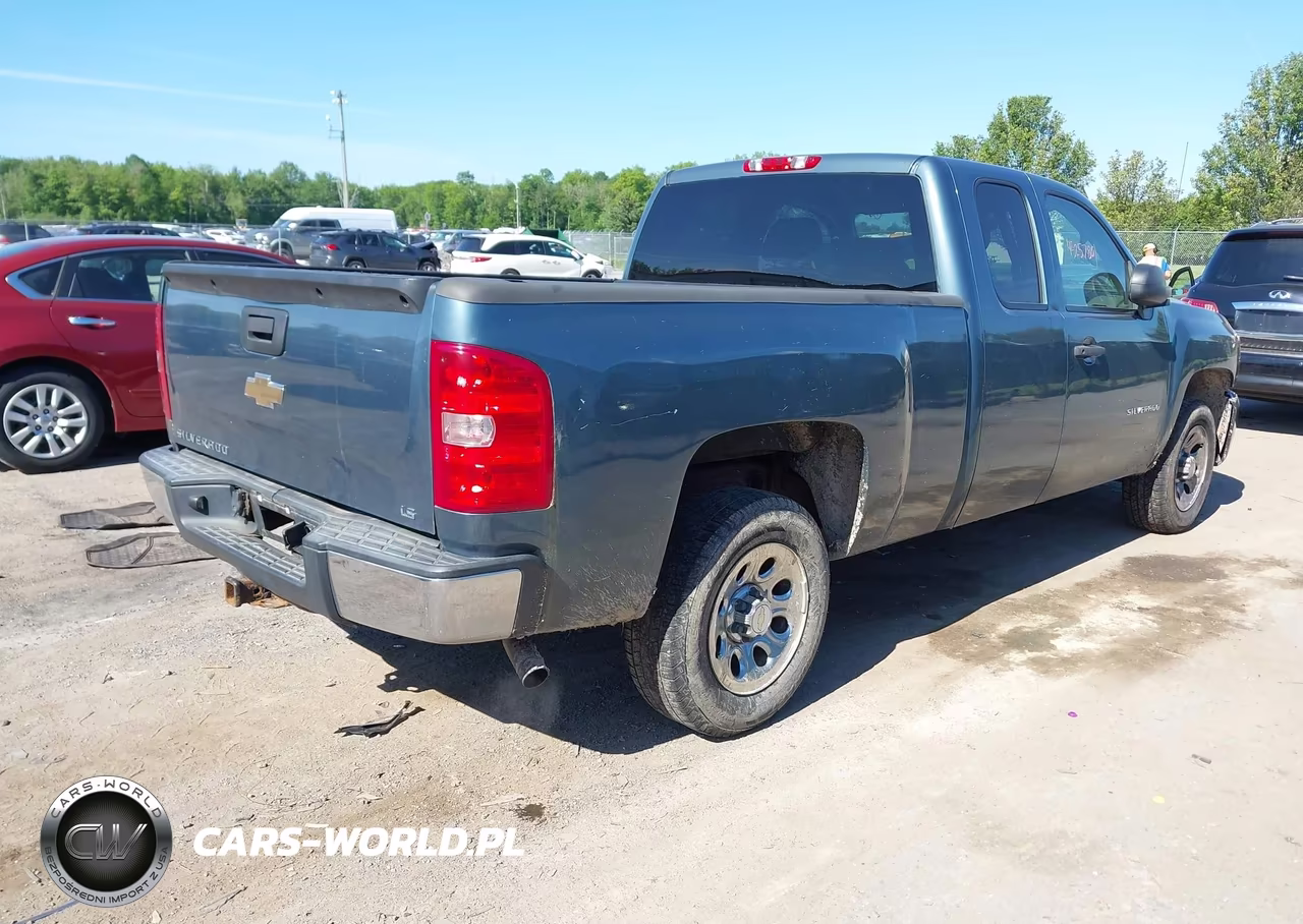 2010 Chevrolet Silverado 1500 Work Truck VIN:1GCSCPEX9AZ147364 - 4