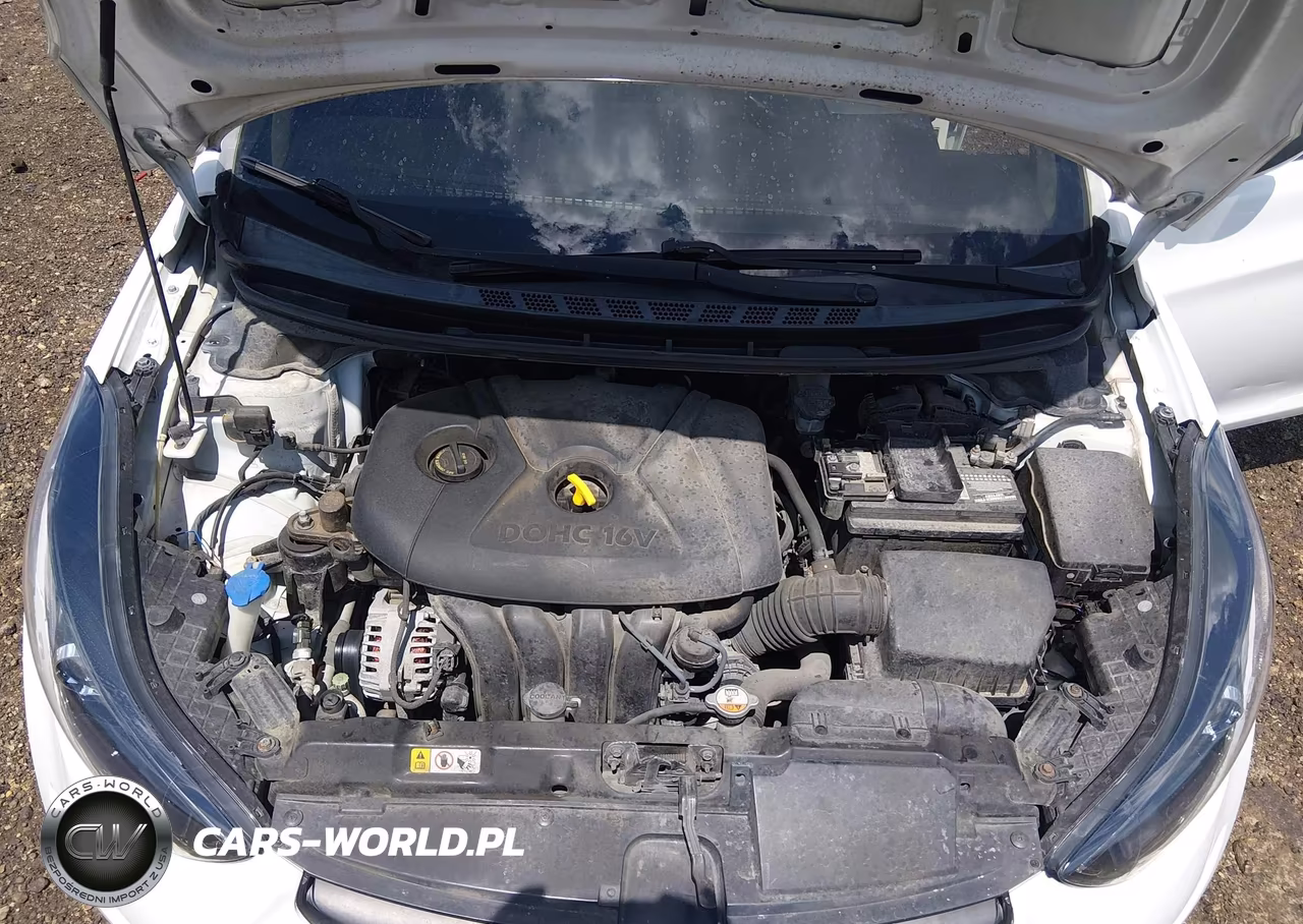 2013 Hyundai Elantra Gls VIN:5NPDH4AE3DH276645 - 10