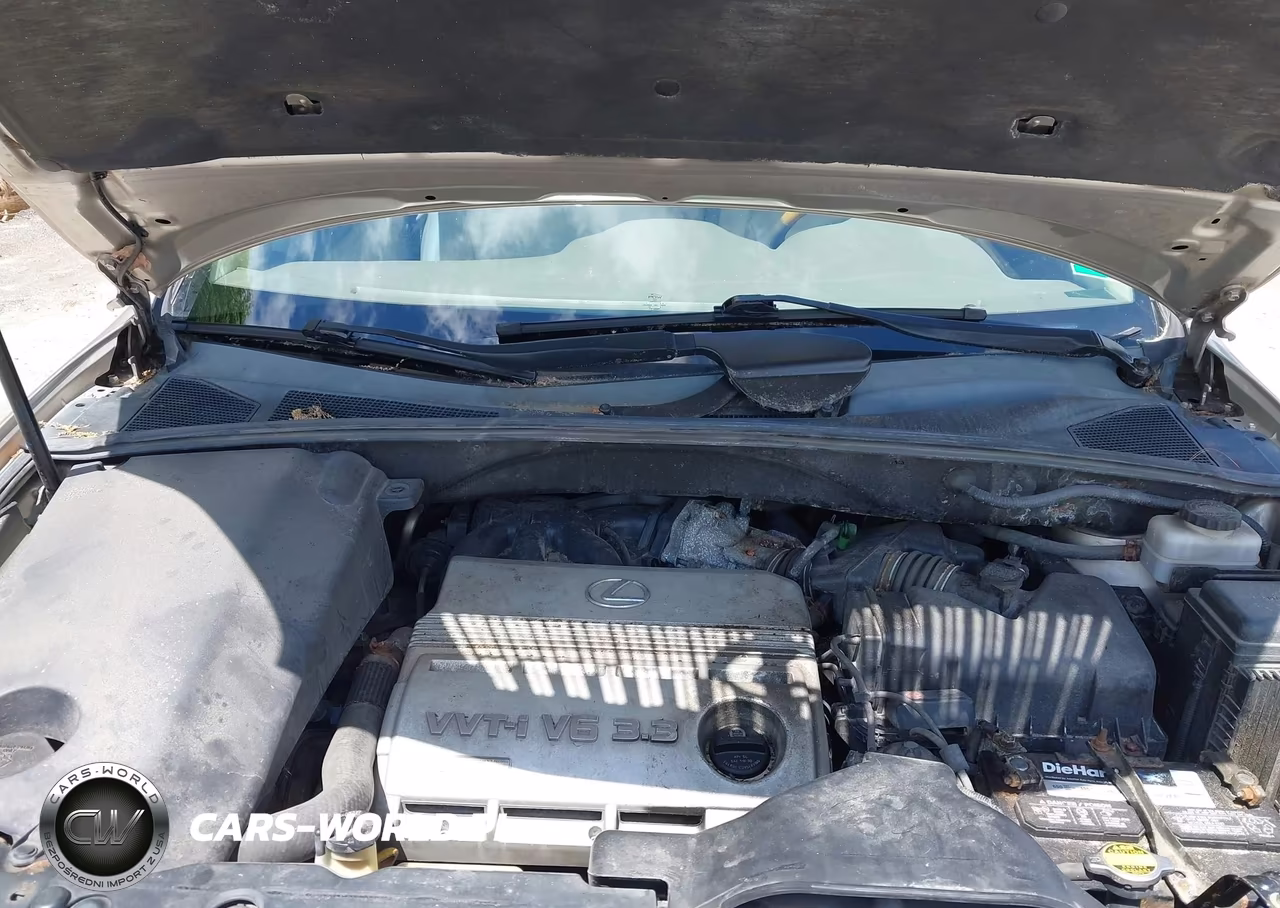 2005 Lexus Rx 330 VIN:2T2HA31U65C061560 - 10