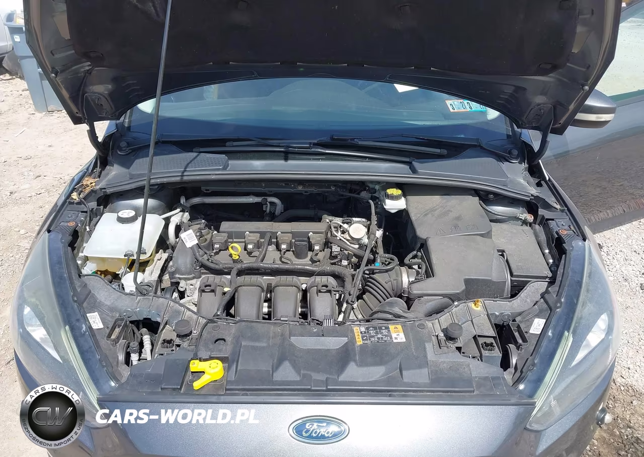 2017 Ford Focus Sel VIN:1FADP3M29HL301263 - 10