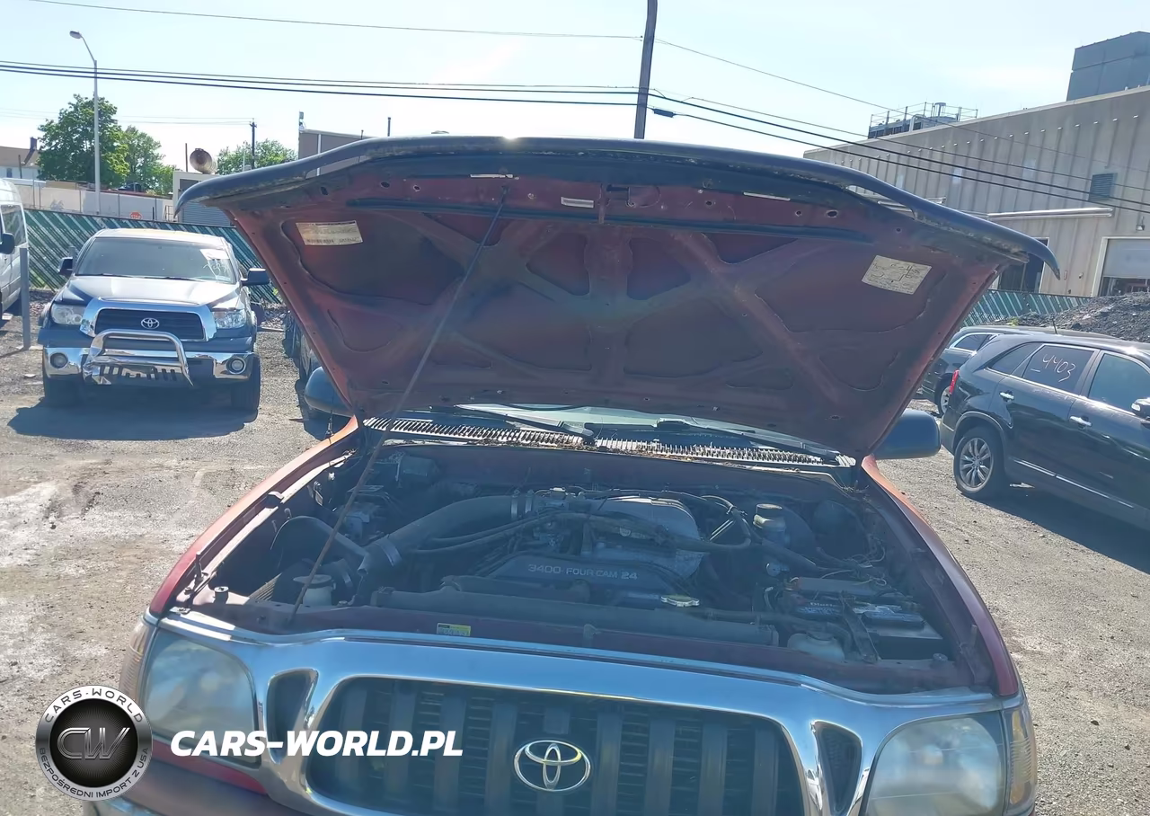 2003 Toyota Tacoma Base V6 VIN:5TEWN72NX3Z181545 - 10