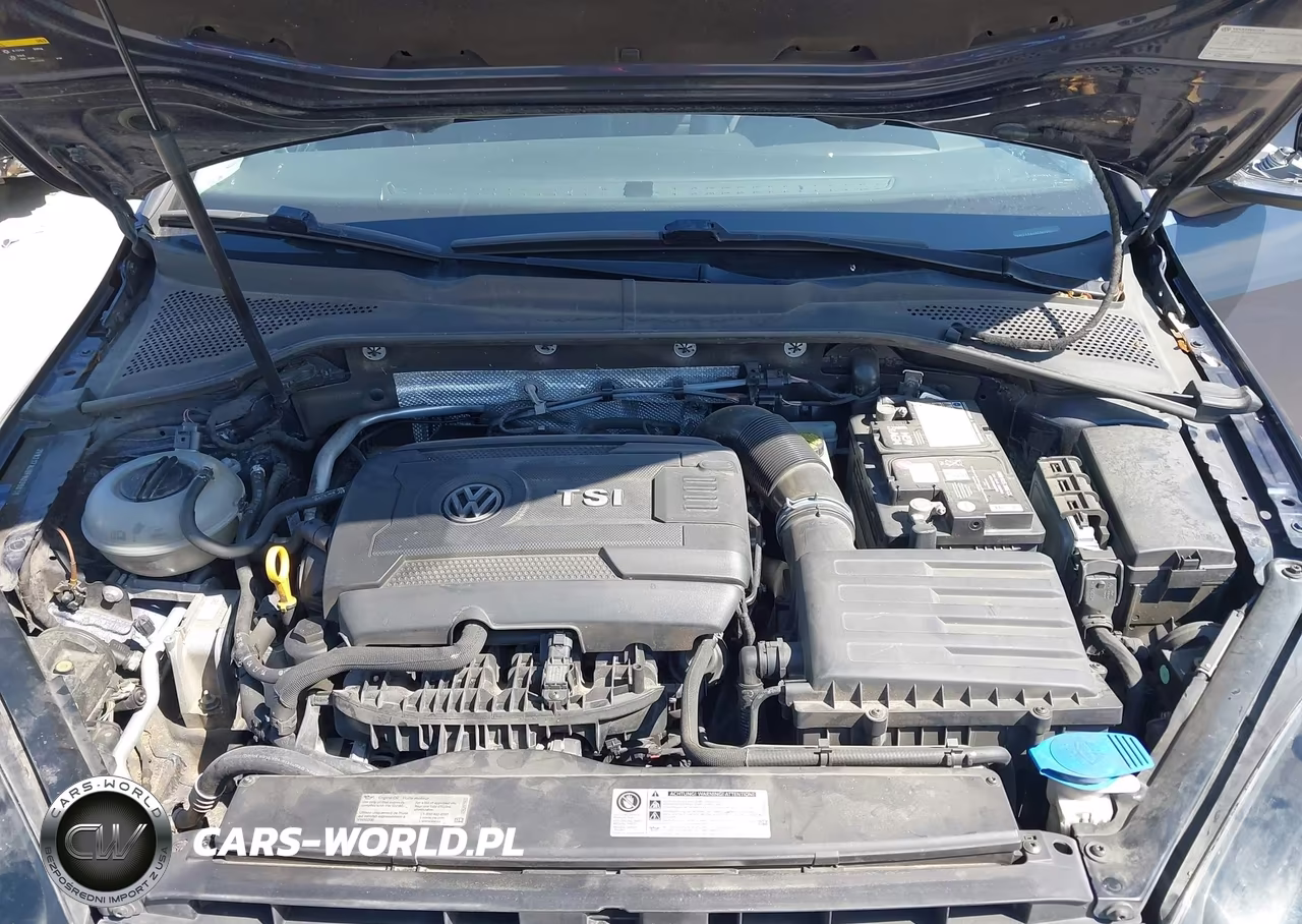 2015 Volkswagen Golf Tsi S 4-Door VIN:3VW217AU9FM039818 - 10