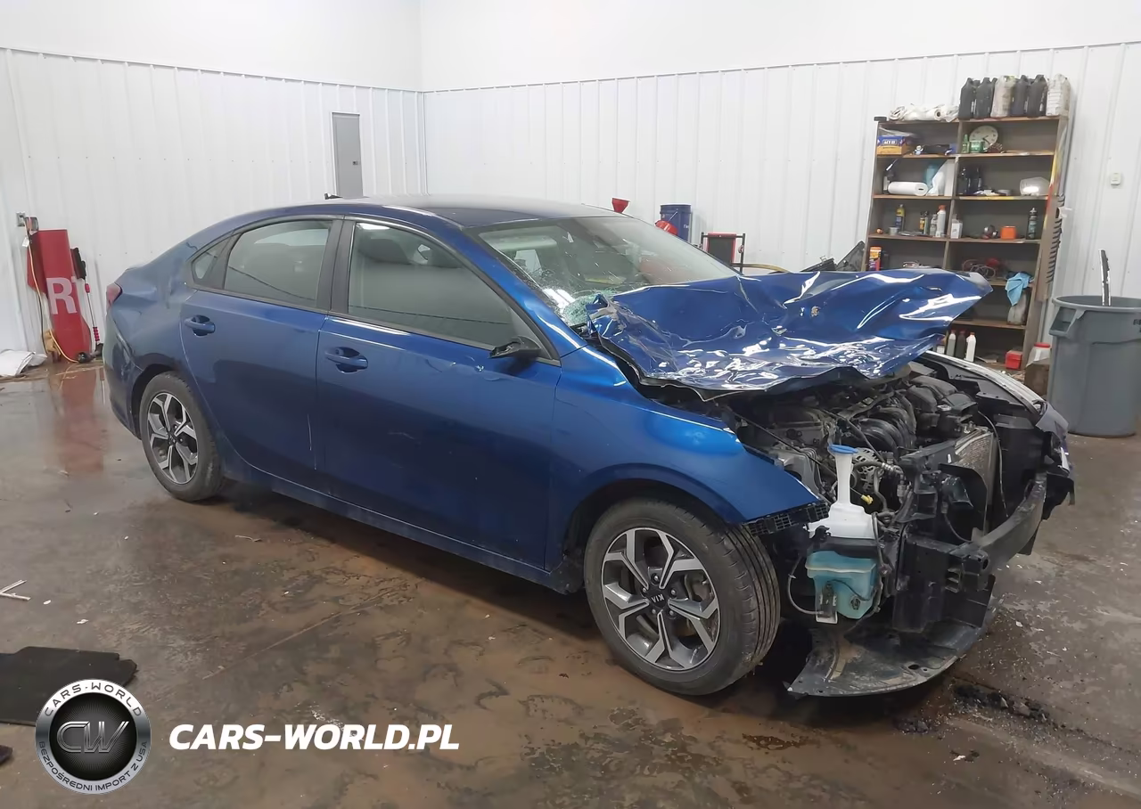 2019 Kia Forte Lxs