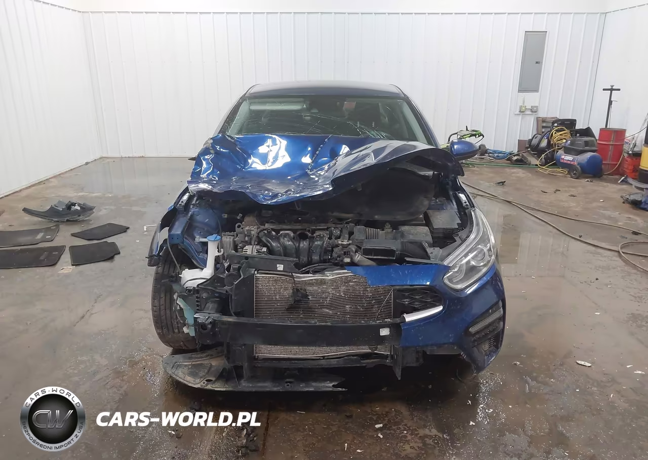2019 Kia Forte Lxs VIN:3KPF24AD1KE061400 - 12