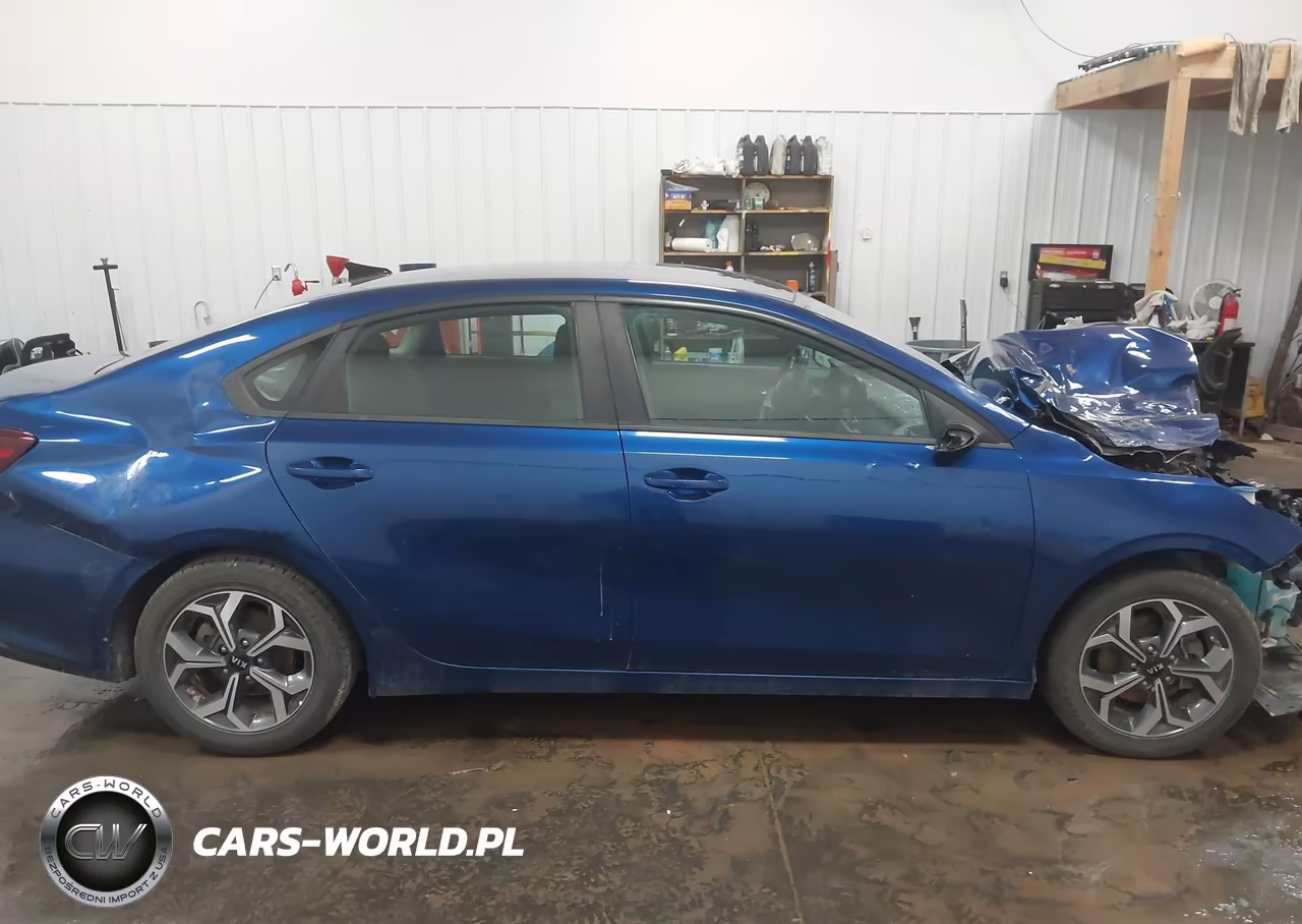 2019 Kia Forte Lxs VIN:3KPF24AD1KE061400 - 13
