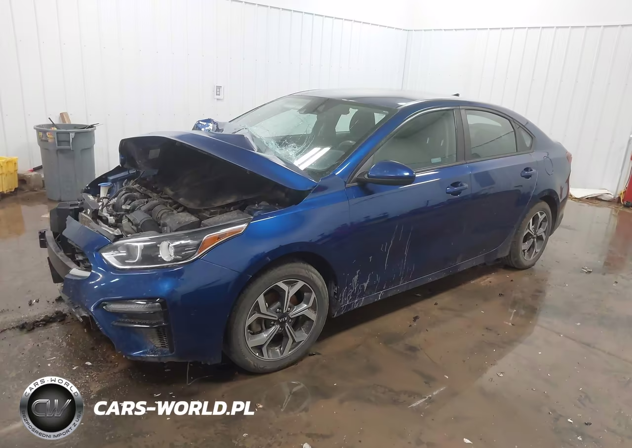 2019 Kia Forte Lxs VIN:3KPF24AD1KE061400 - 2