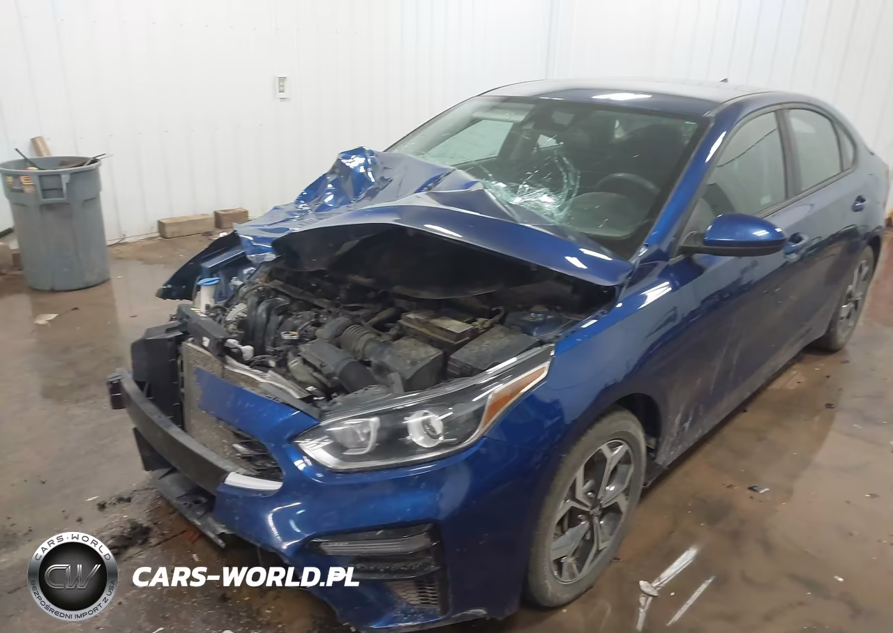 2019 Kia Forte Lxs VIN:3KPF24AD1KE061400 - 6