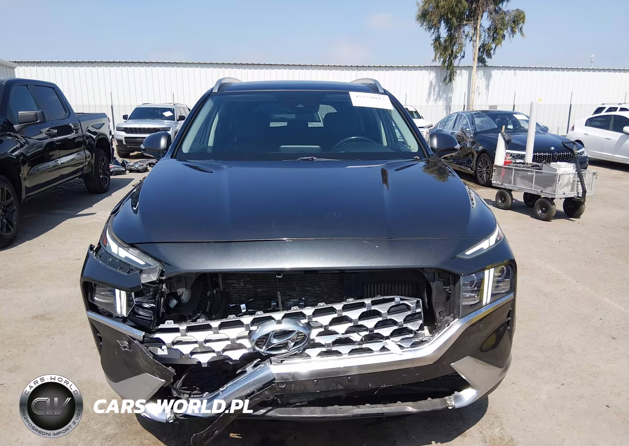 2021 Hyundai Santa Fe Limited VIN:5NMS44AL1MH319099 - 12
