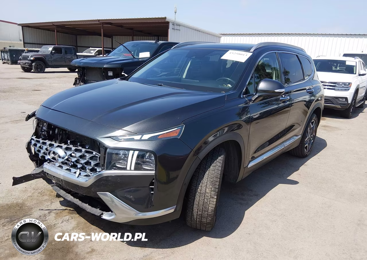 2021 Hyundai Santa Fe Limited VIN:5NMS44AL1MH319099 - 2