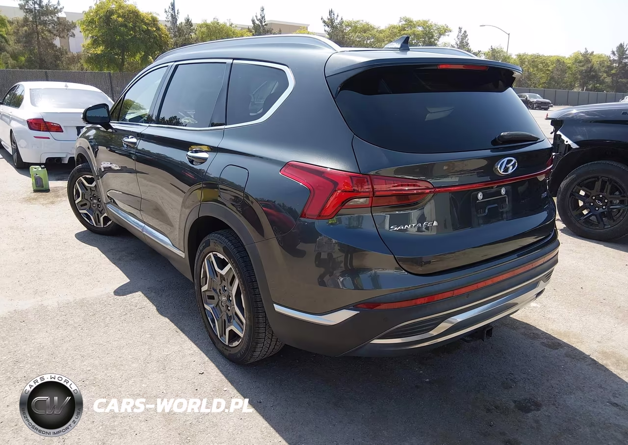 2021 Hyundai Santa Fe Limited VIN:5NMS44AL1MH319099 - 3