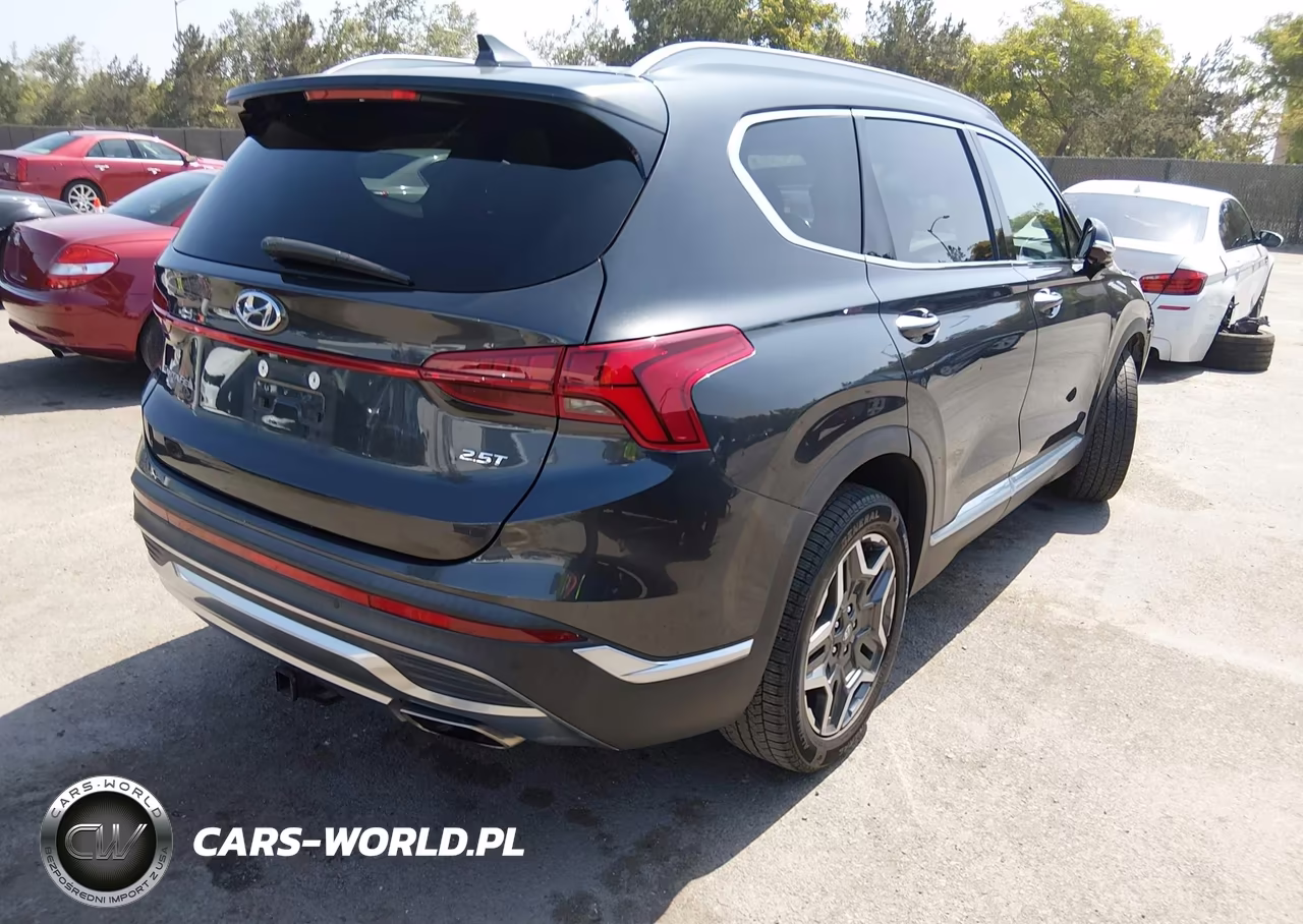 2021 Hyundai Santa Fe Limited VIN:5NMS44AL1MH319099 - 4