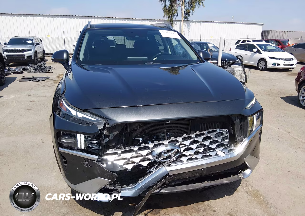 2021 Hyundai Santa Fe Limited VIN:5NMS44AL1MH319099 - 6