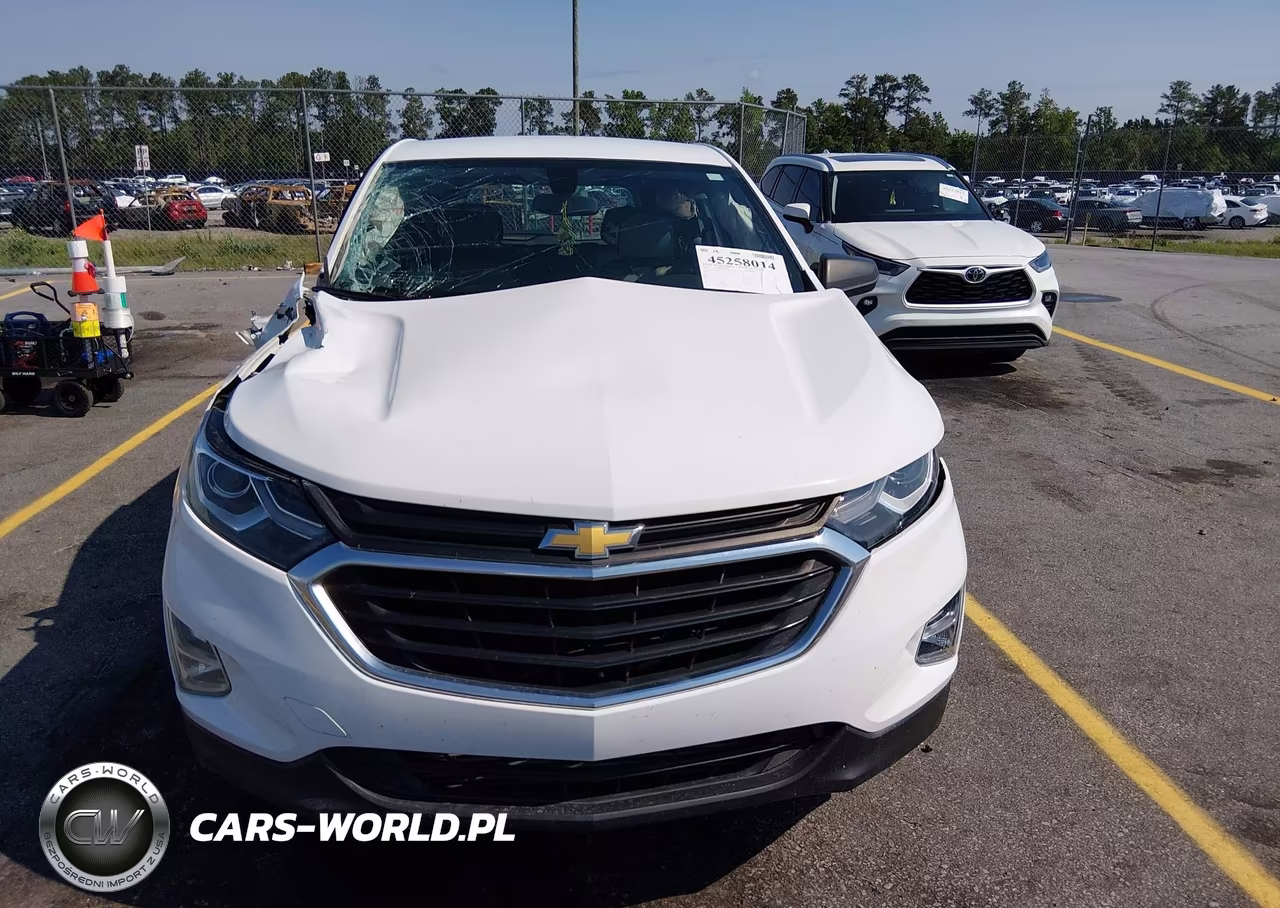 2019 Chevrolet Equinox Ls VIN:2GNAXSEV9K6277991 - 12