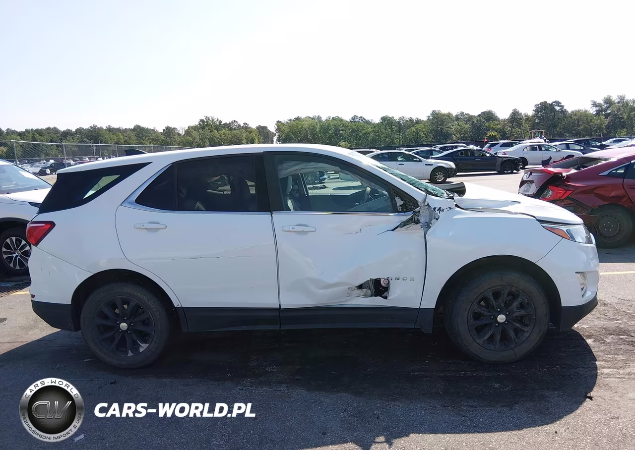 2019 Chevrolet Equinox Ls VIN:2GNAXSEV9K6277991 - 13