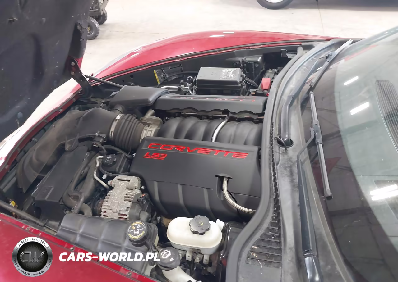 2010 Chevrolet Corvette VIN:1G1YG3DW0A5102510 - 10
