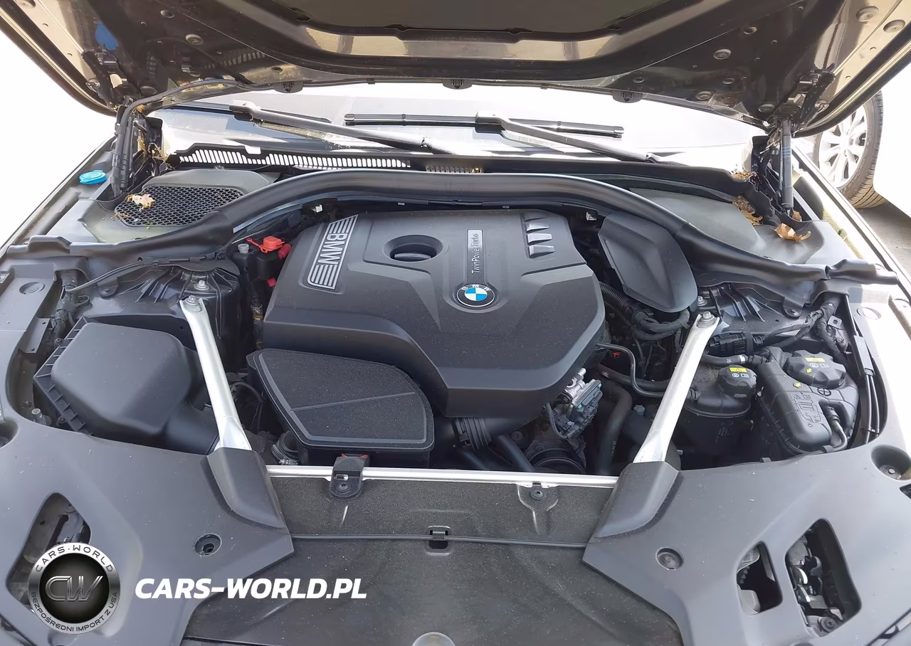 2019 BMW 530I xDrive VIN:WBAJA7C52KG910743 - 10