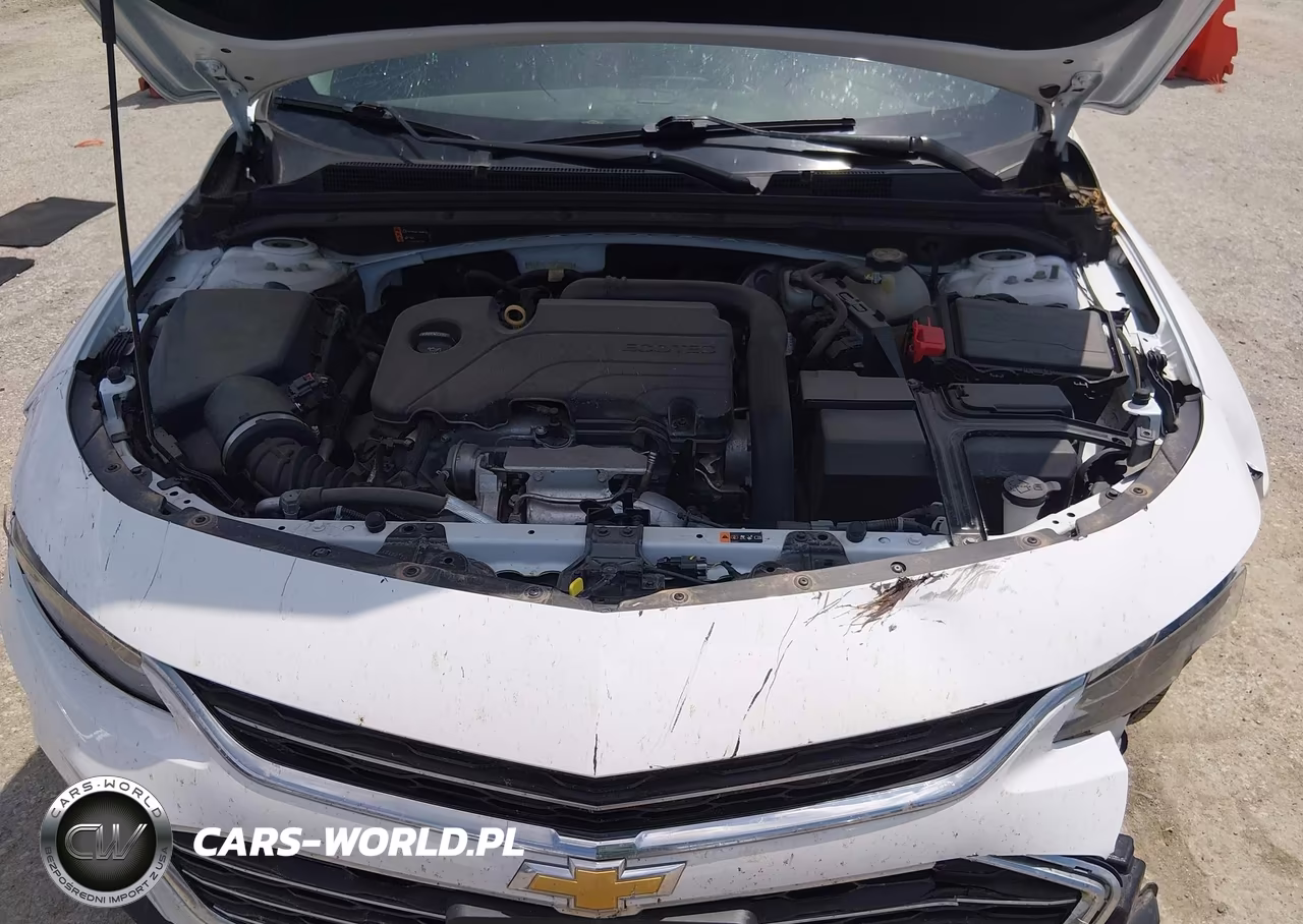2018 Chevrolet Malibu 1Fl VIN:1G1ZC5ST9JF221428 - 10