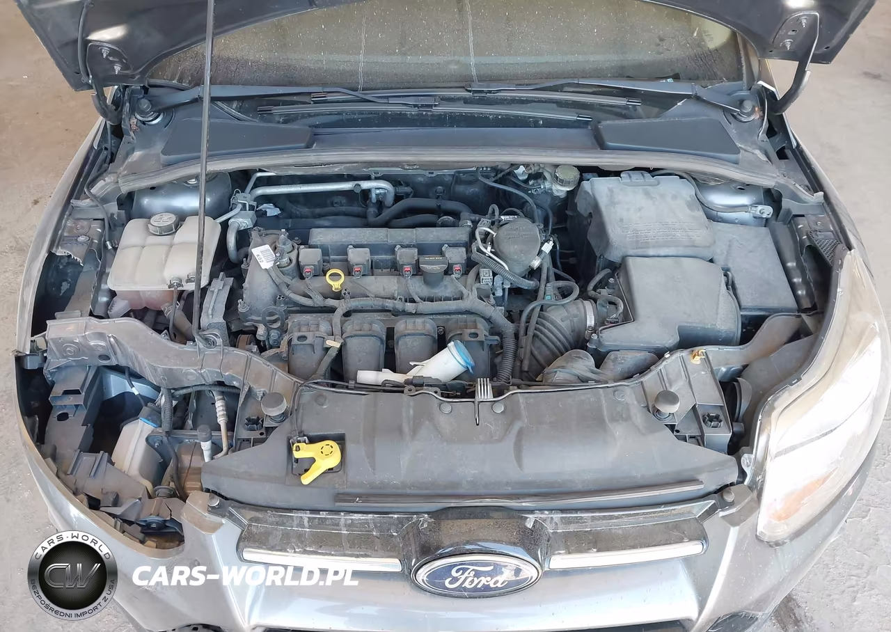 2013 Ford Focus Titanium VIN:1FADP3J26DL283819 - 10