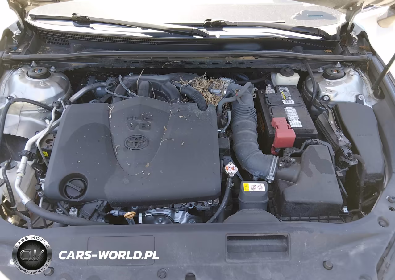 2019 Toyota Avalon Xse VIN:4T1BZ1FB7KU008908 - 10