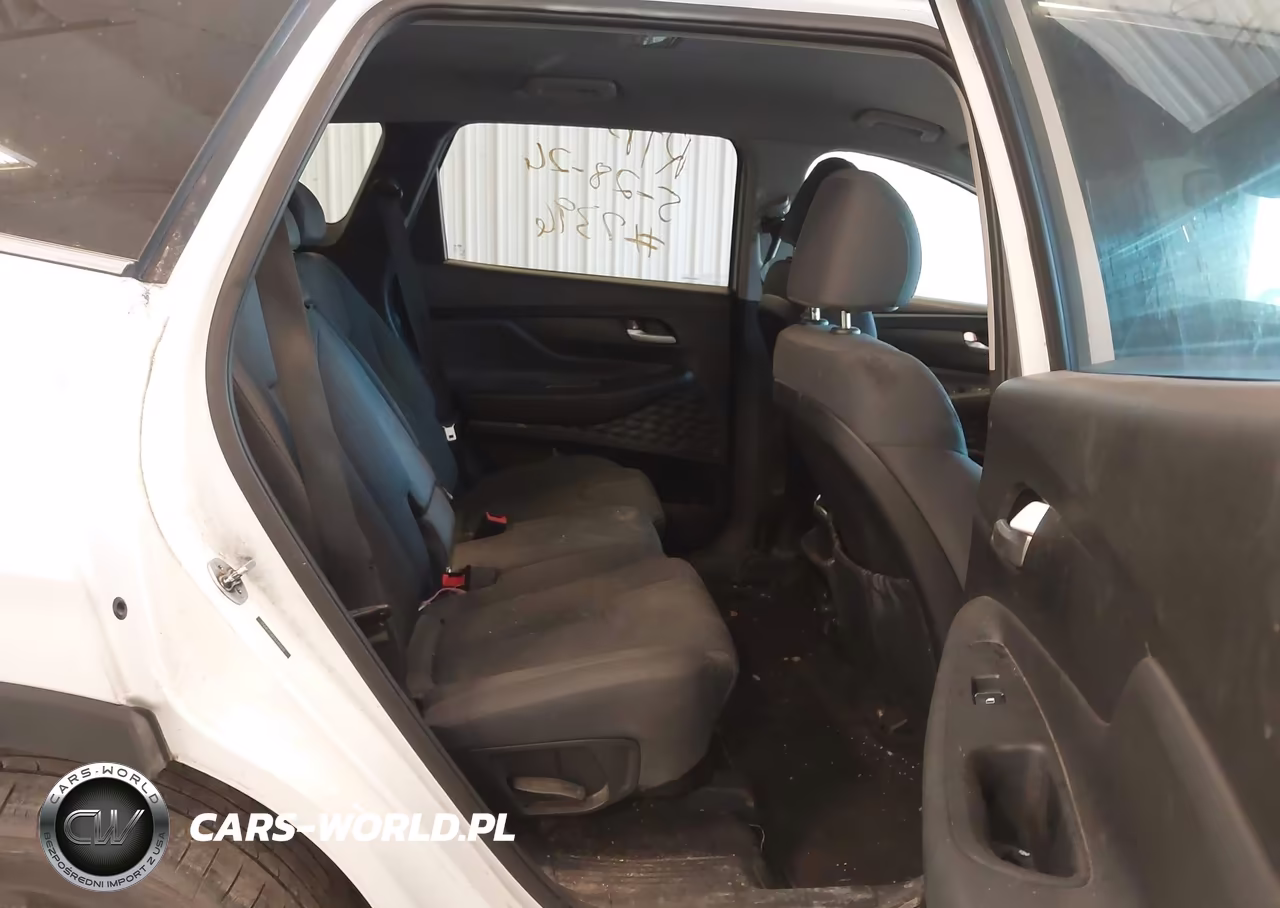 2020 Hyundai Santa Fe Sel VIN:5NMS3CAD2LH152613 - 8