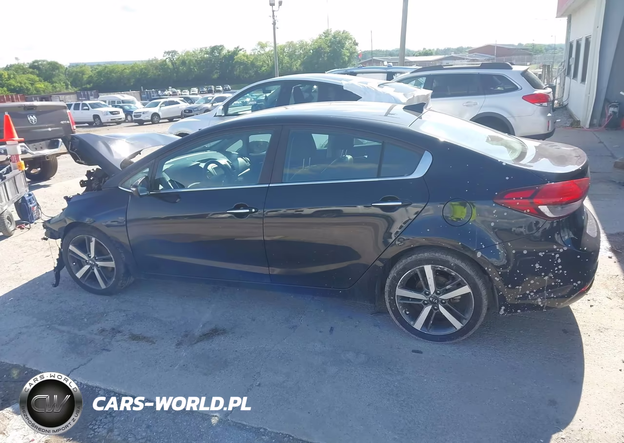 2017 Kia Forte Ex VIN:3KPFL4A8XHE116483 - 15