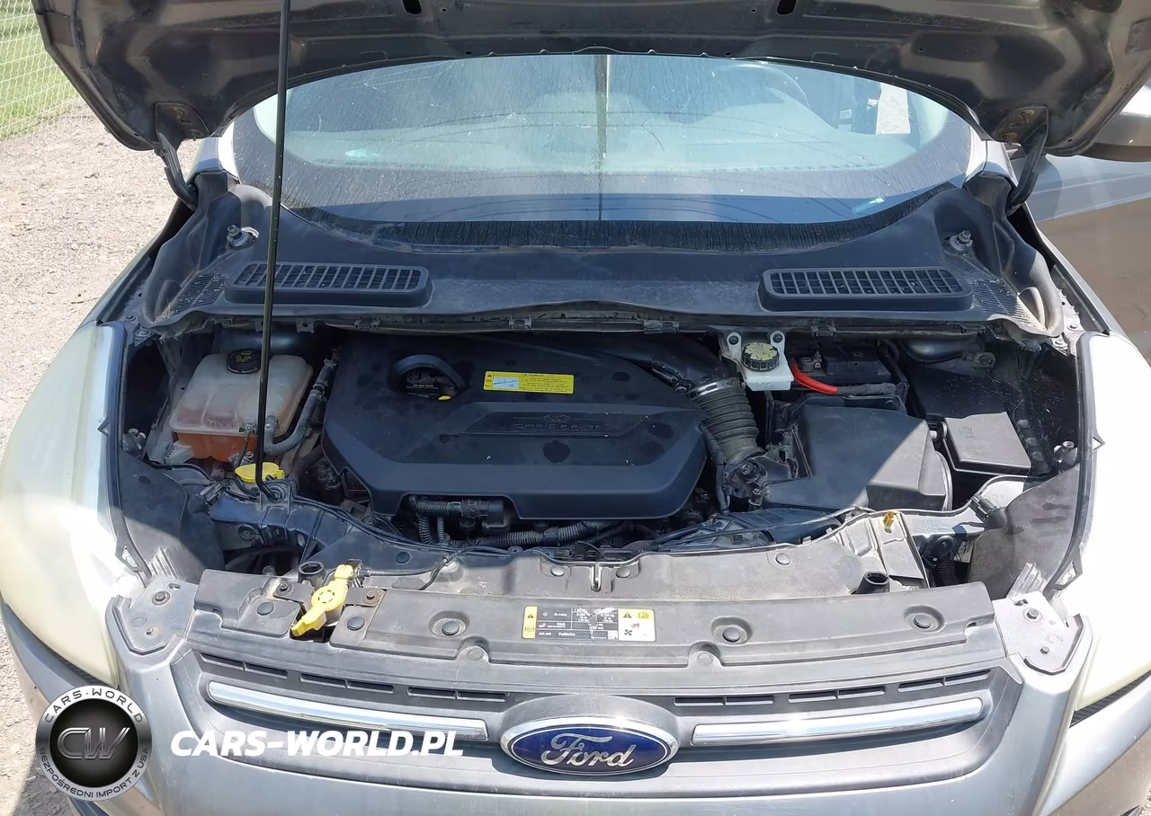 2014 Ford Escape Se VIN:1FMCU0GX7EUC92066 - 10