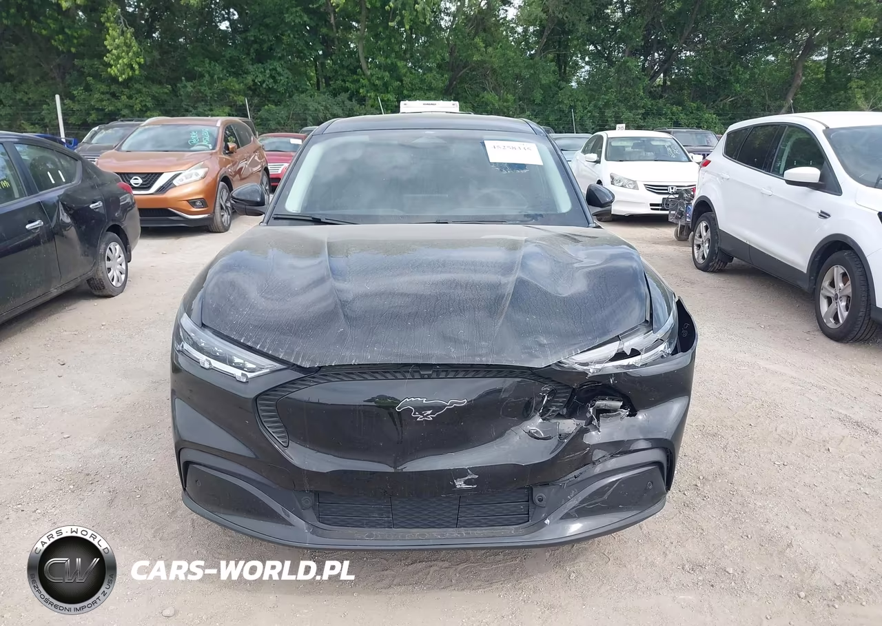 2022 Ford Mustang Mach-E Select VIN:3FMTK1RM8NMA60336 - 12